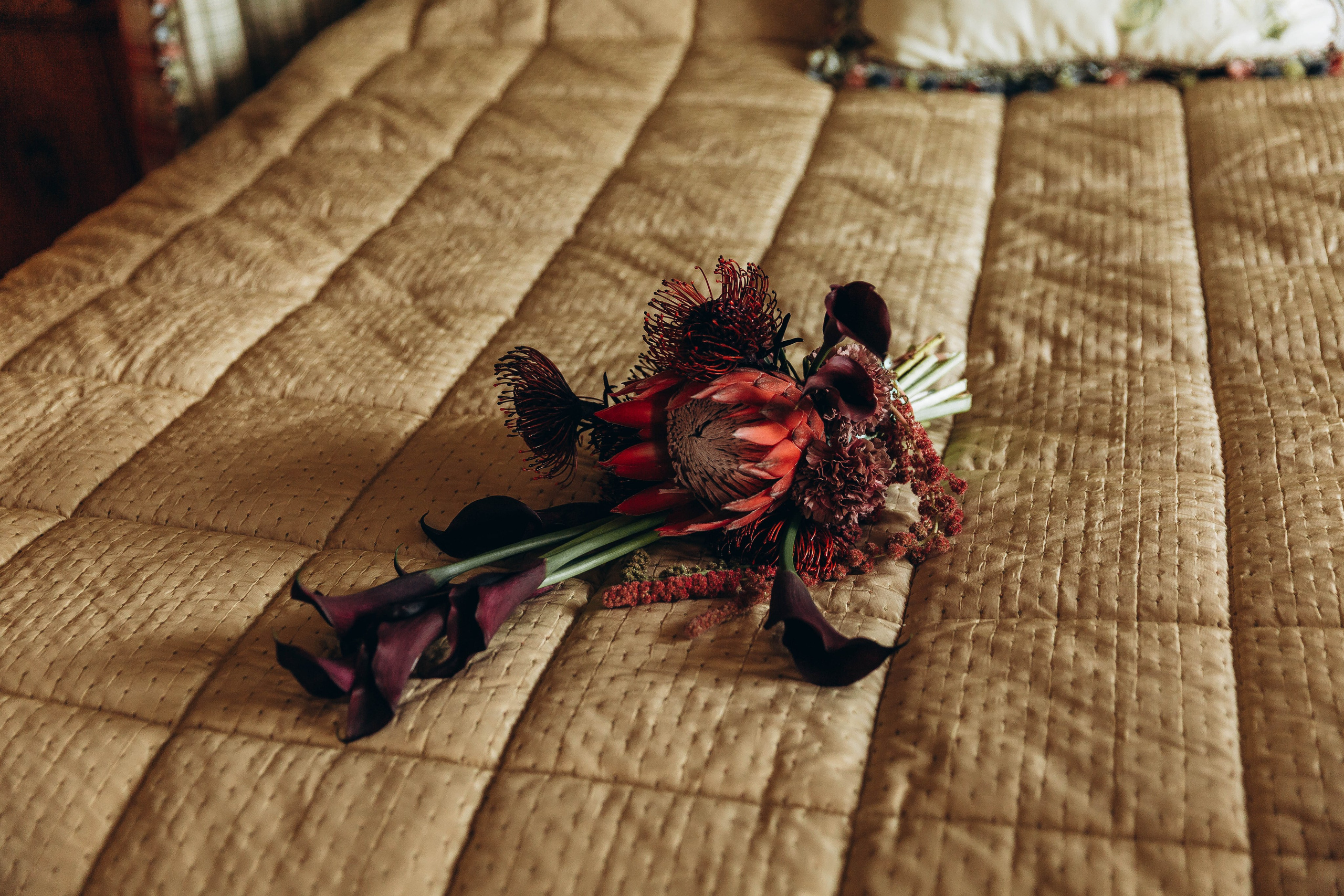 Villa Michetti. Katerina Schastlivaya