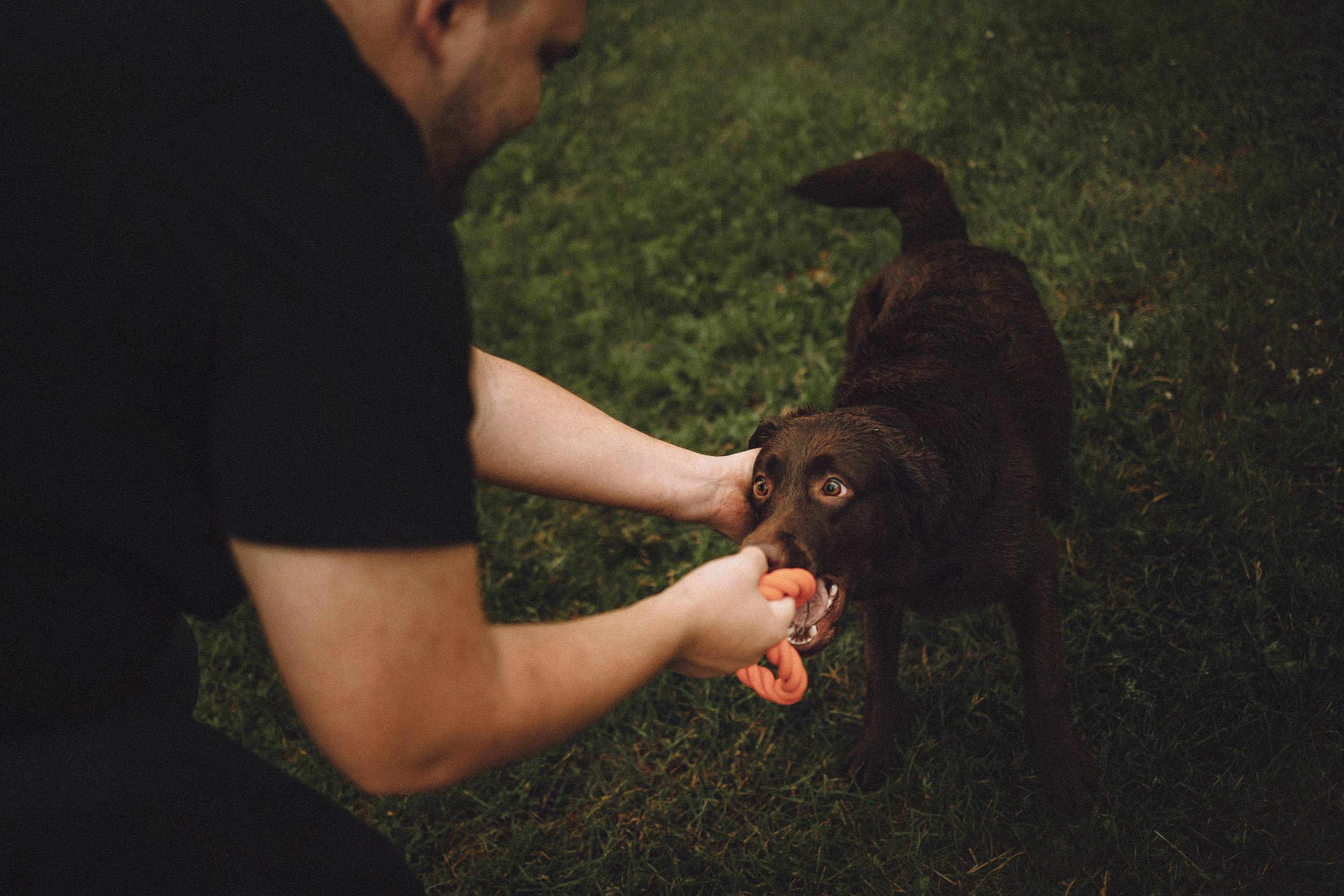 Катя, Ваня и Джеси