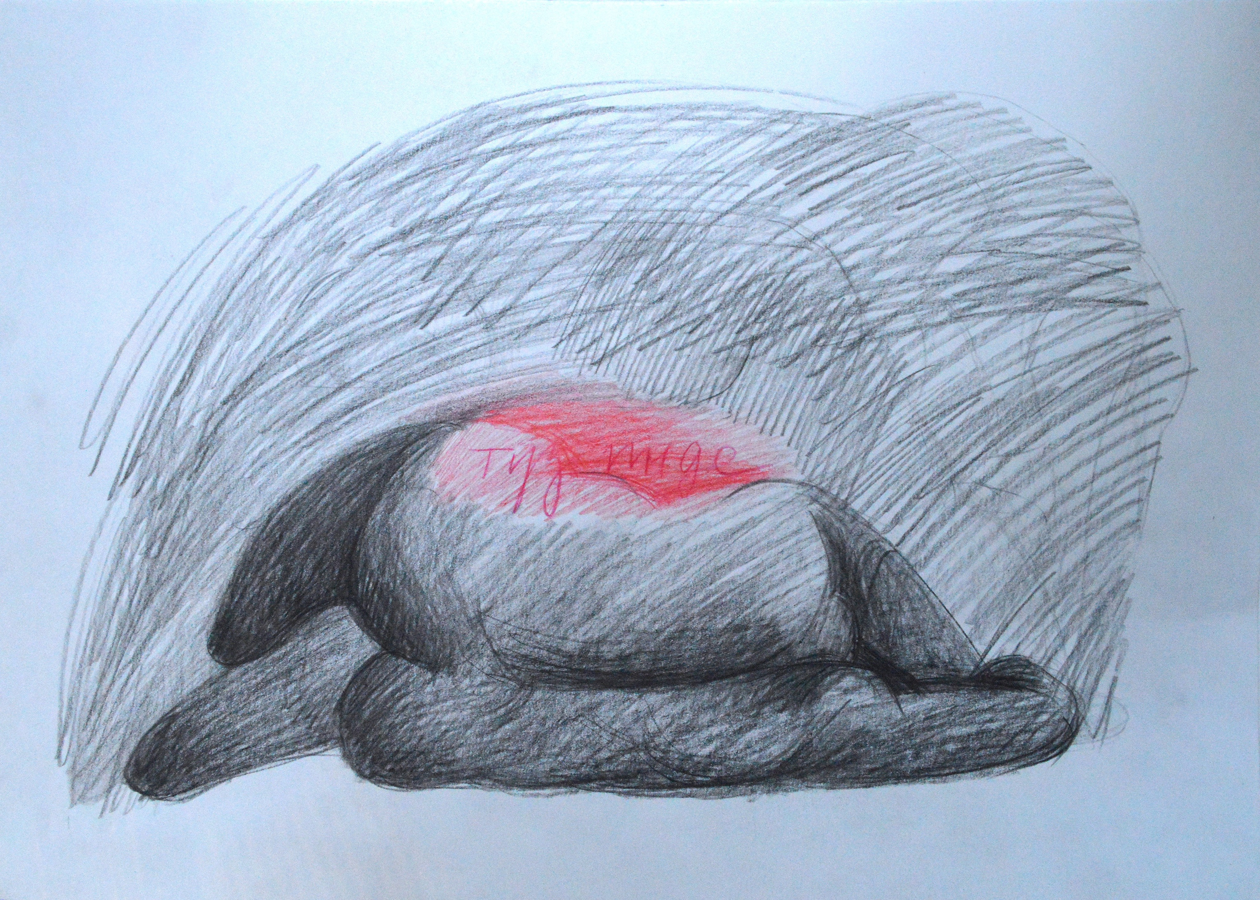 Серия «Туз инде. Тырыш инде.» 2025. Лилия Ким. Междисциплинарный художник