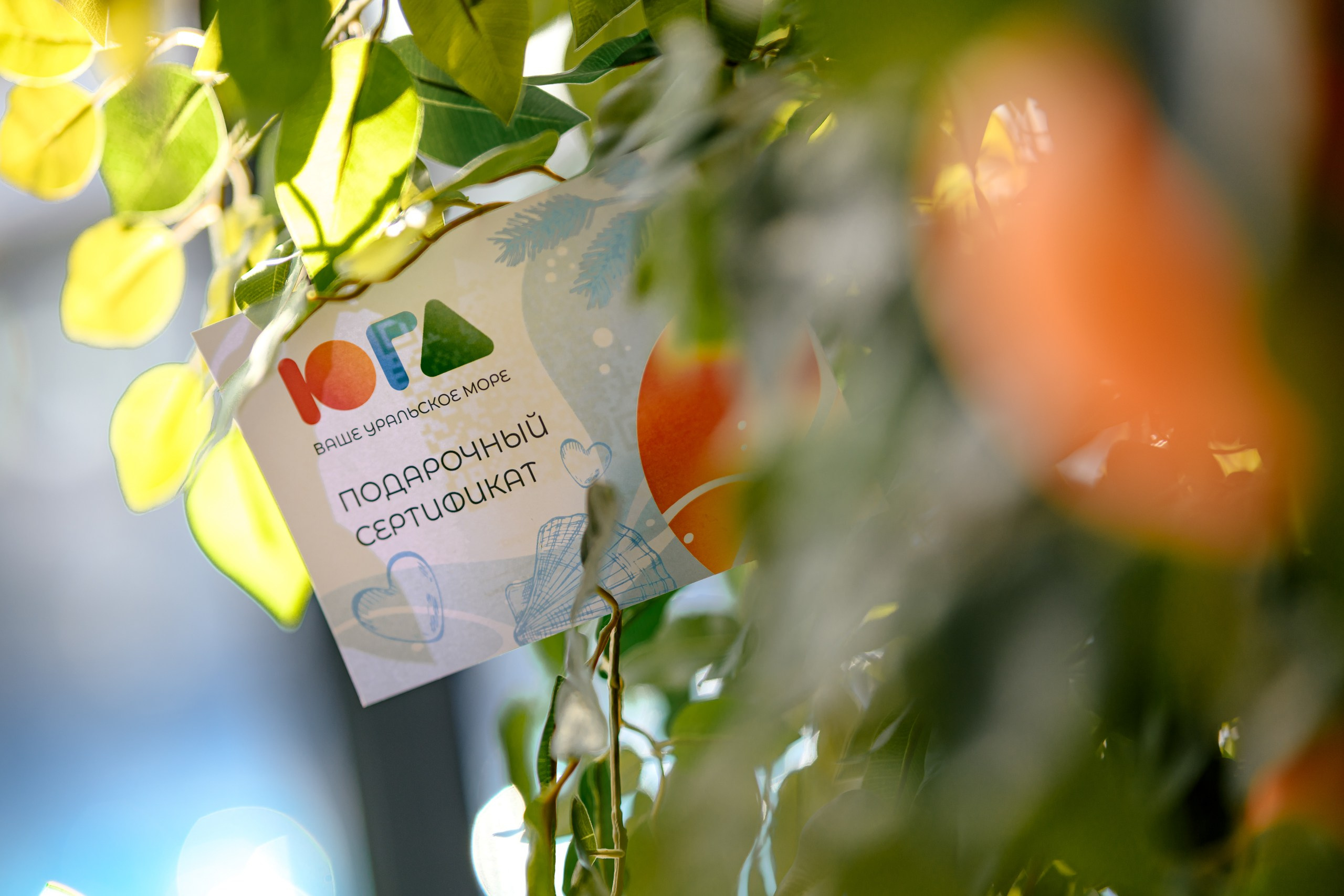 Интерьер. Максим Комаров — Профессиональный фотограф