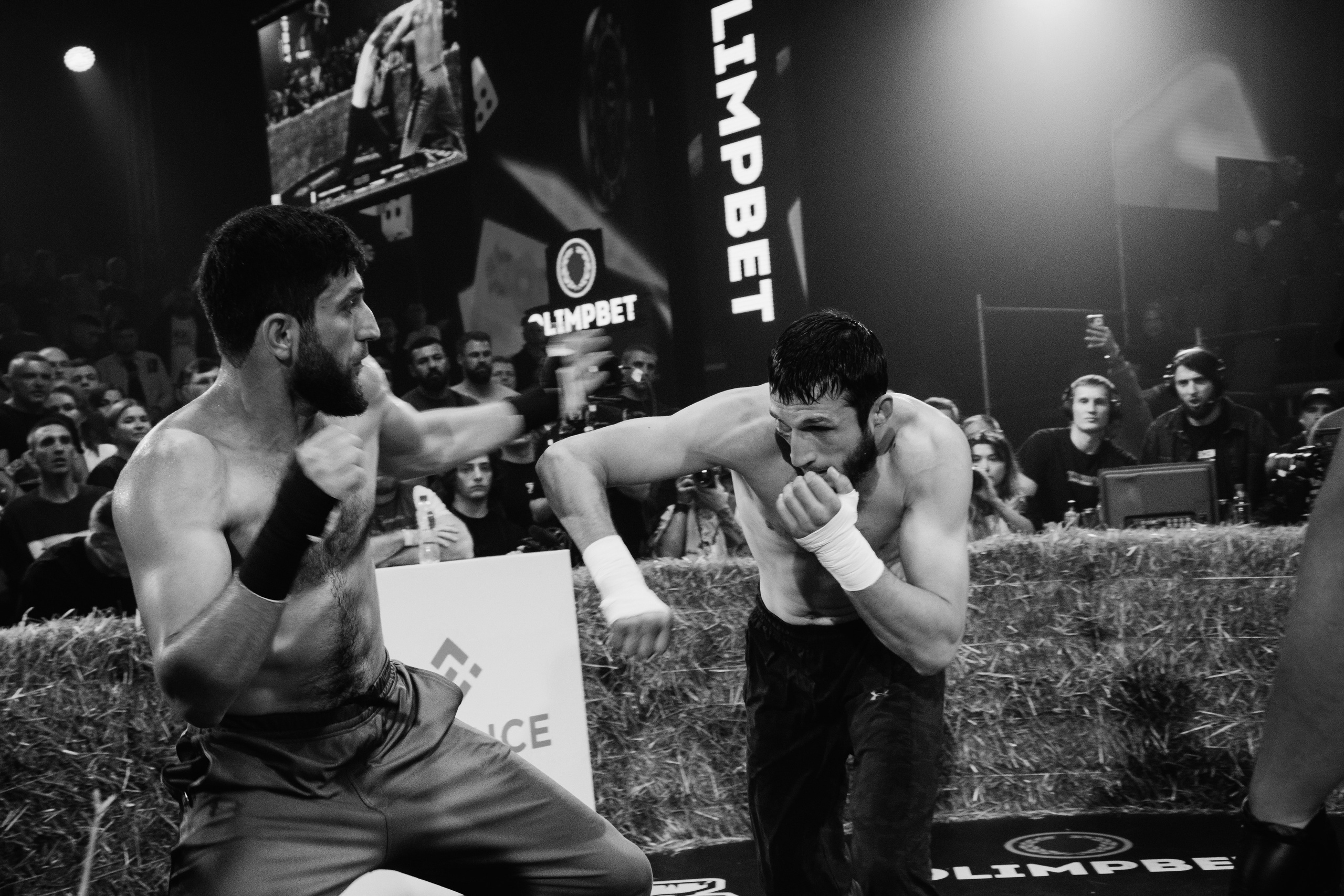 Кулачные бои TopDog. Анастасия Тен