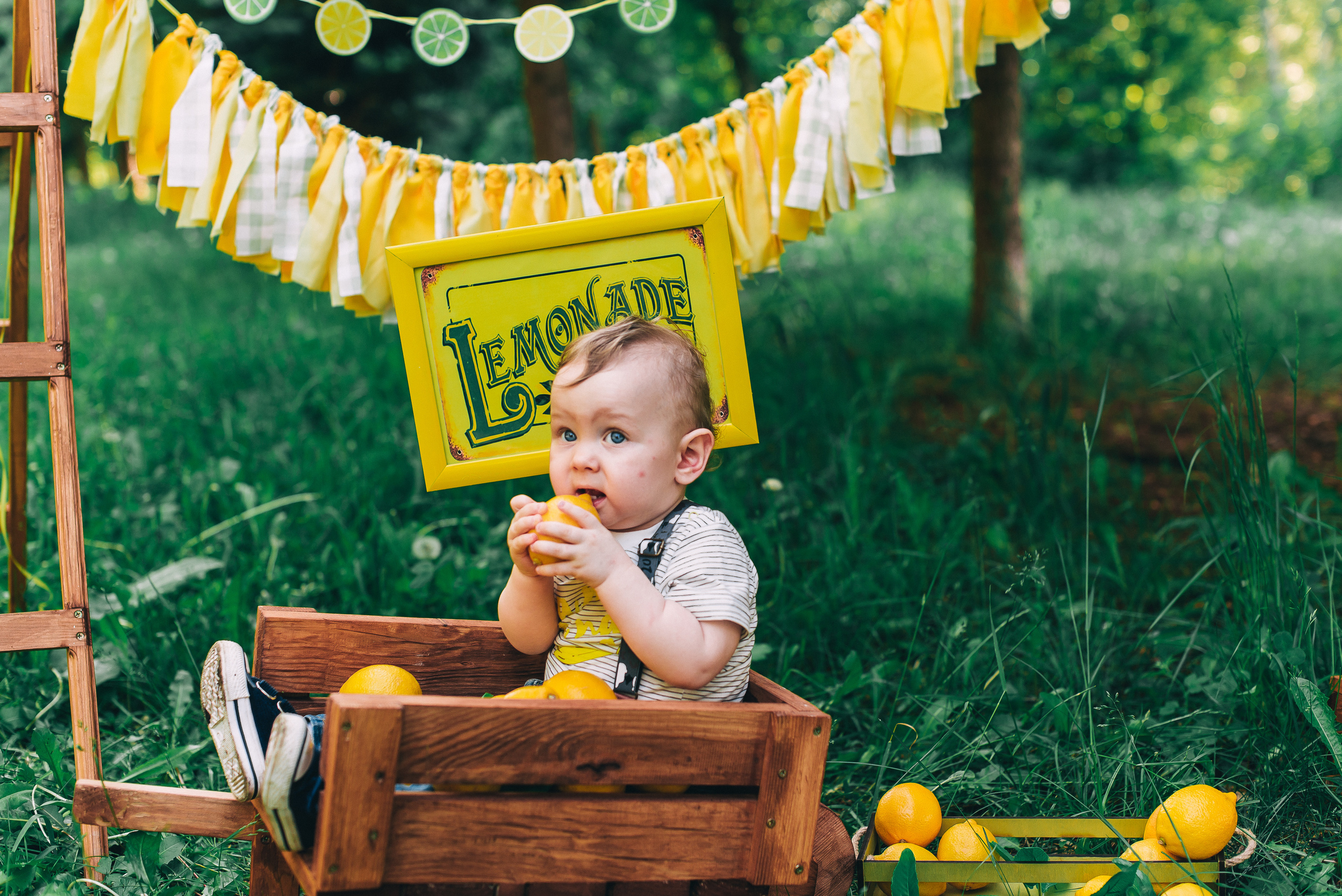 Семейная фотосессия. Валерия Амур Свадебный фотограф (Пенза — Москва)