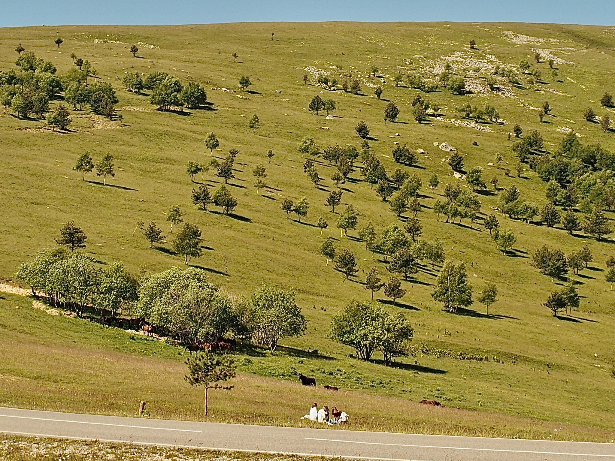 Флора и фауна. Смотри, красота!