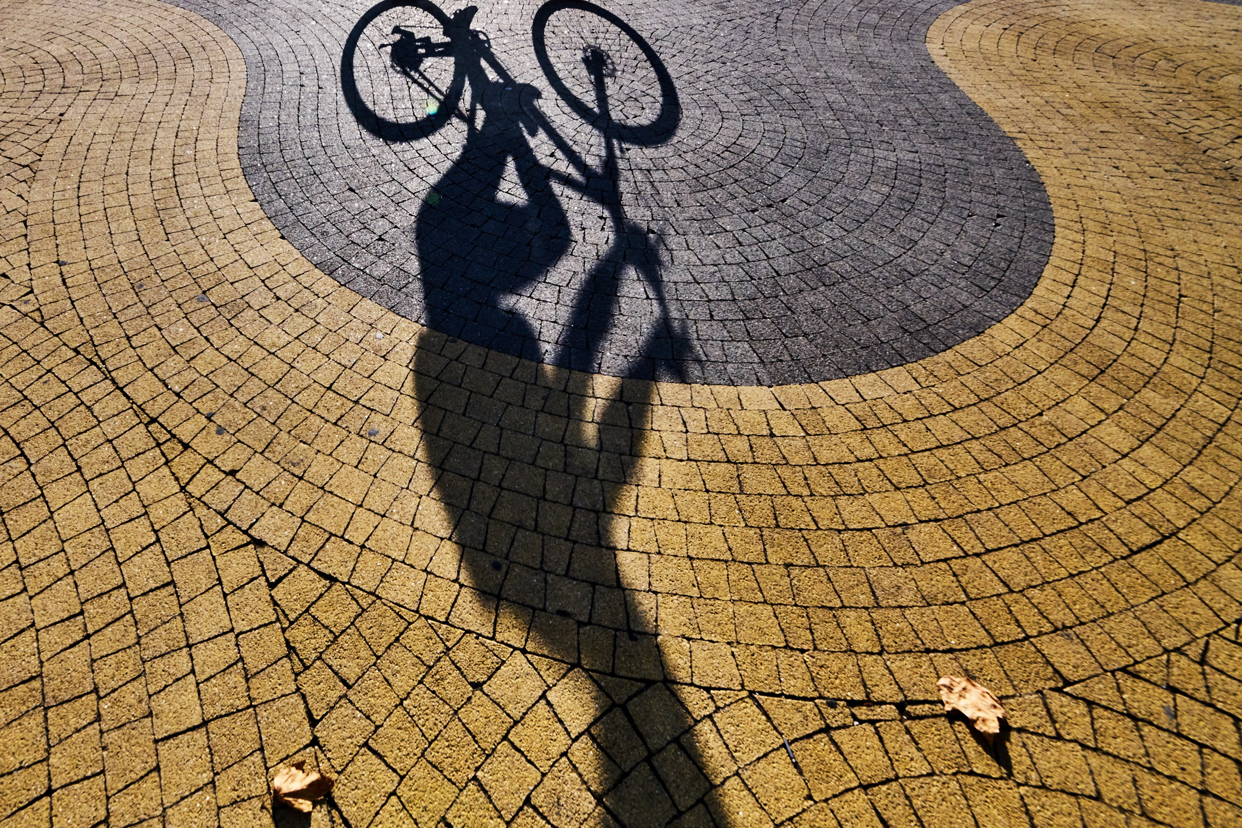 Жизнь, люди, стрит, вокруг, животные, на улице. Яркие фото на Чёрном море