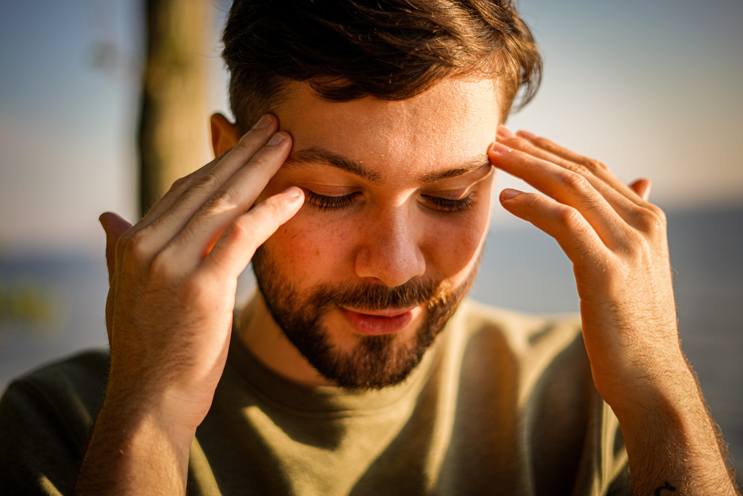 Галерея. Beardy Pix
