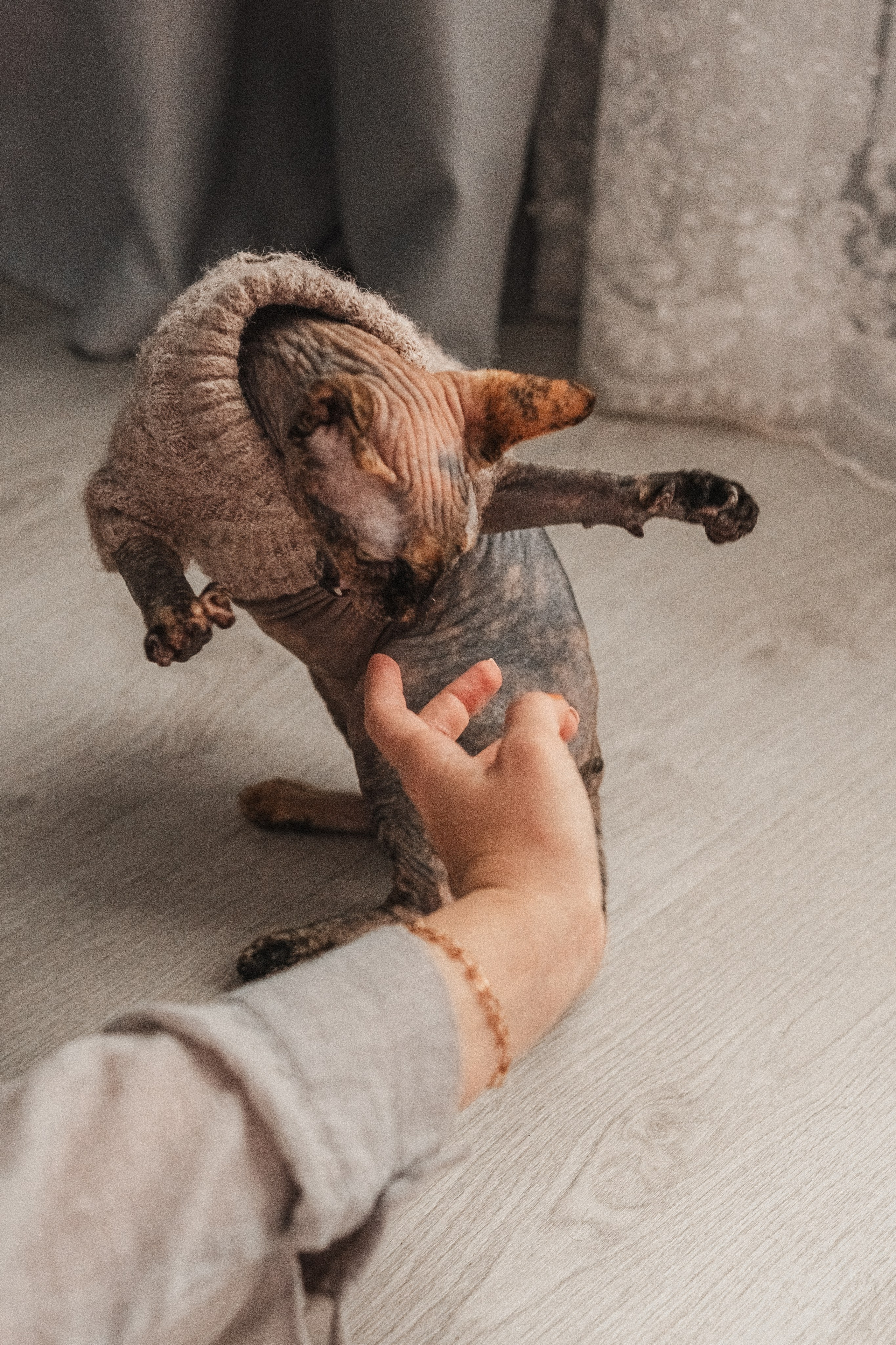 Домашняя серия. Alenasokolowa.ru