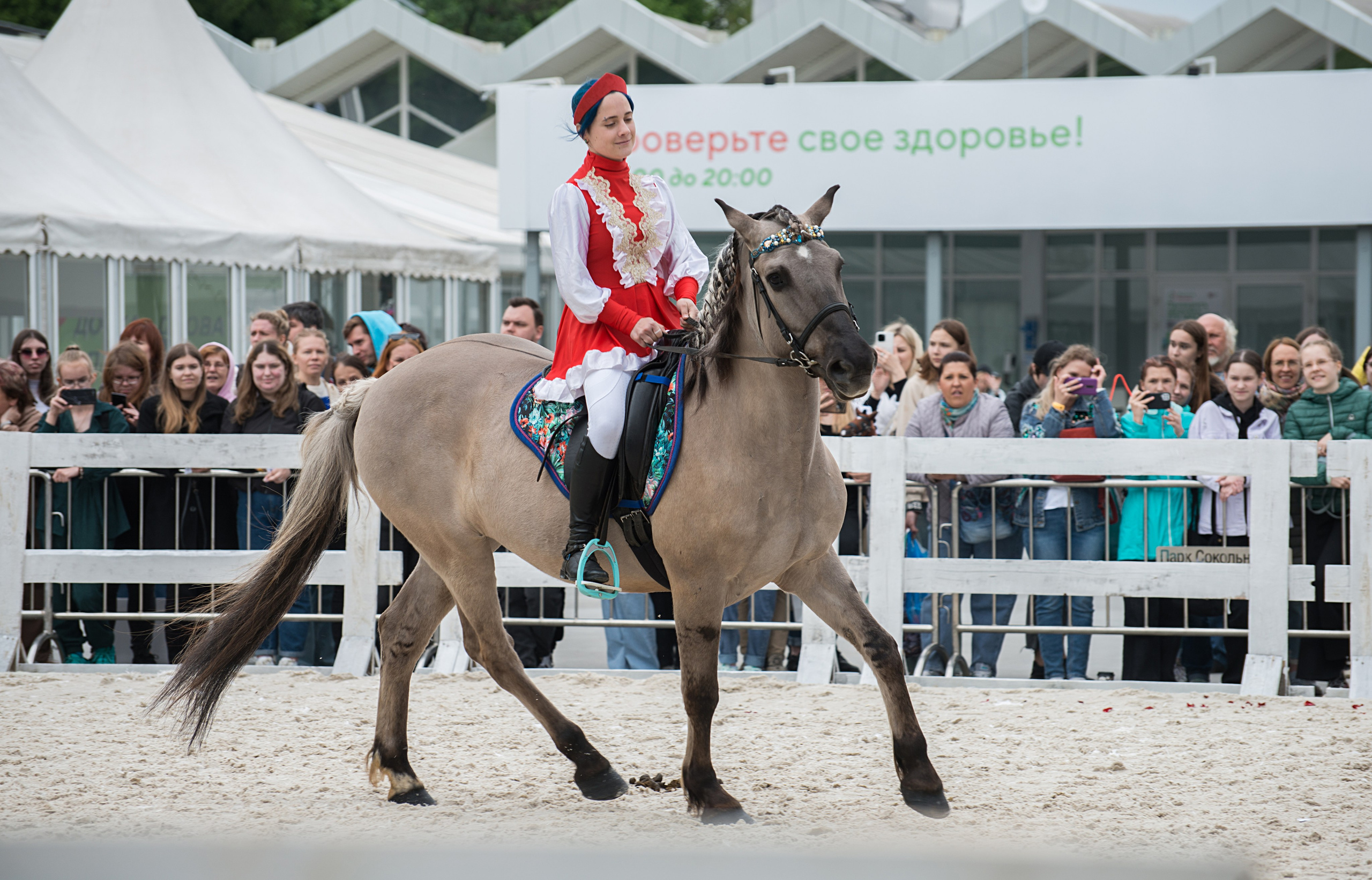Эквирос. Конный фотограф в Саратове Юлия Иванова