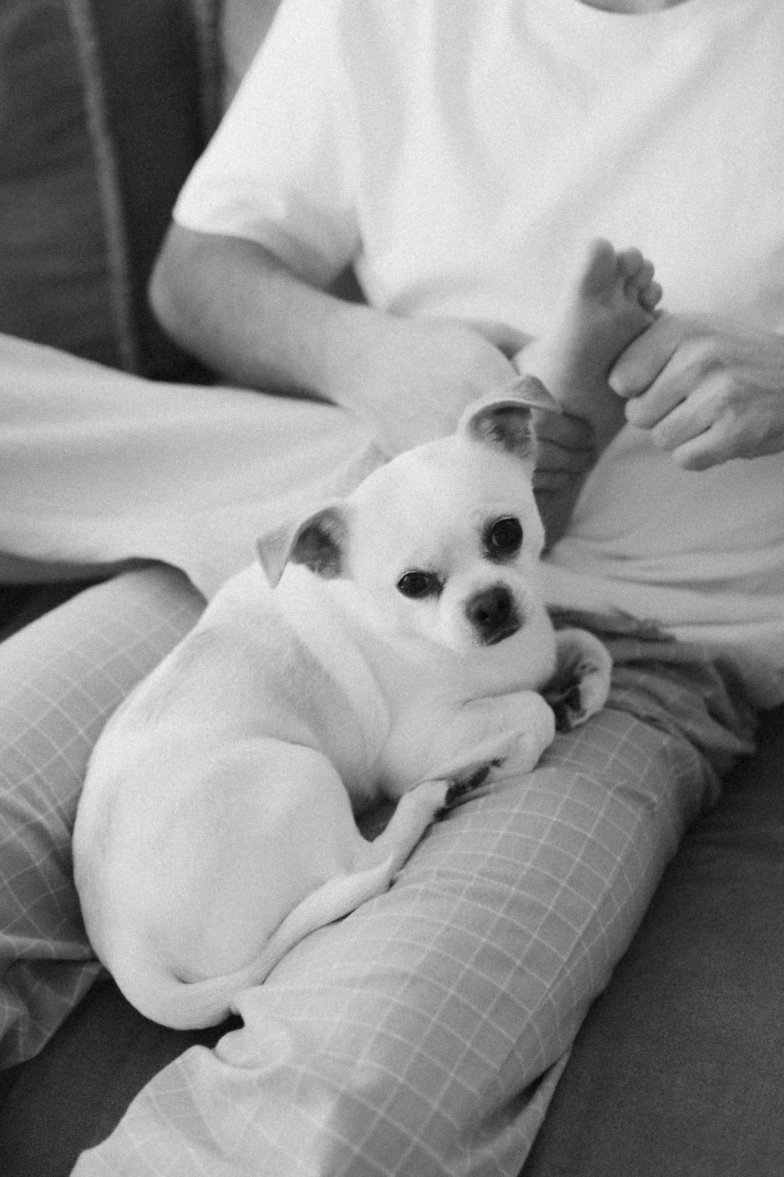 Марьям и Серафим. Фотограф НатаФото (Наталья Яковенко) Дмитров Москва Питер