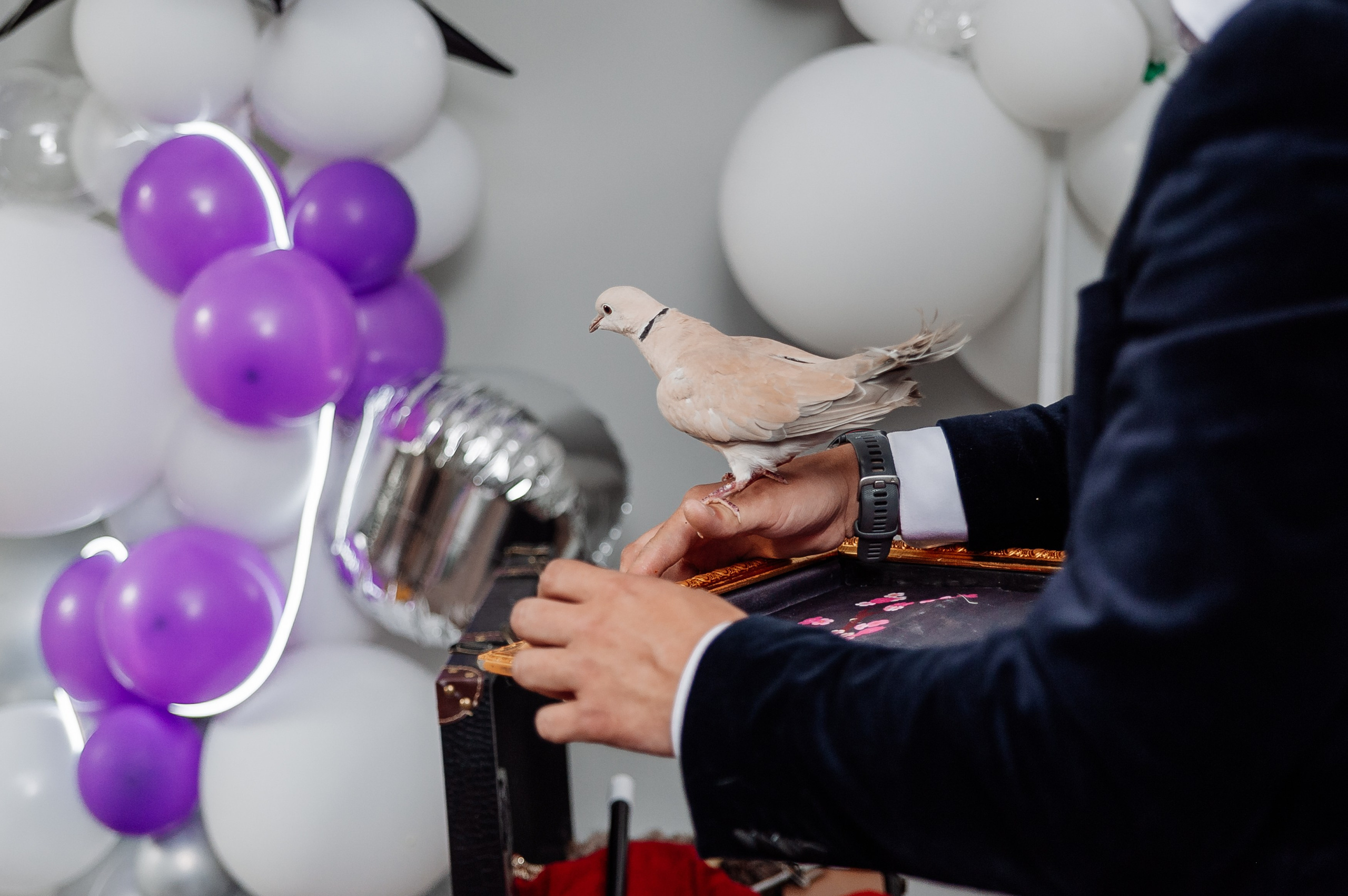 Детский день рождения в лофте Adavi. Свадебный и репортажный фотограф СПб