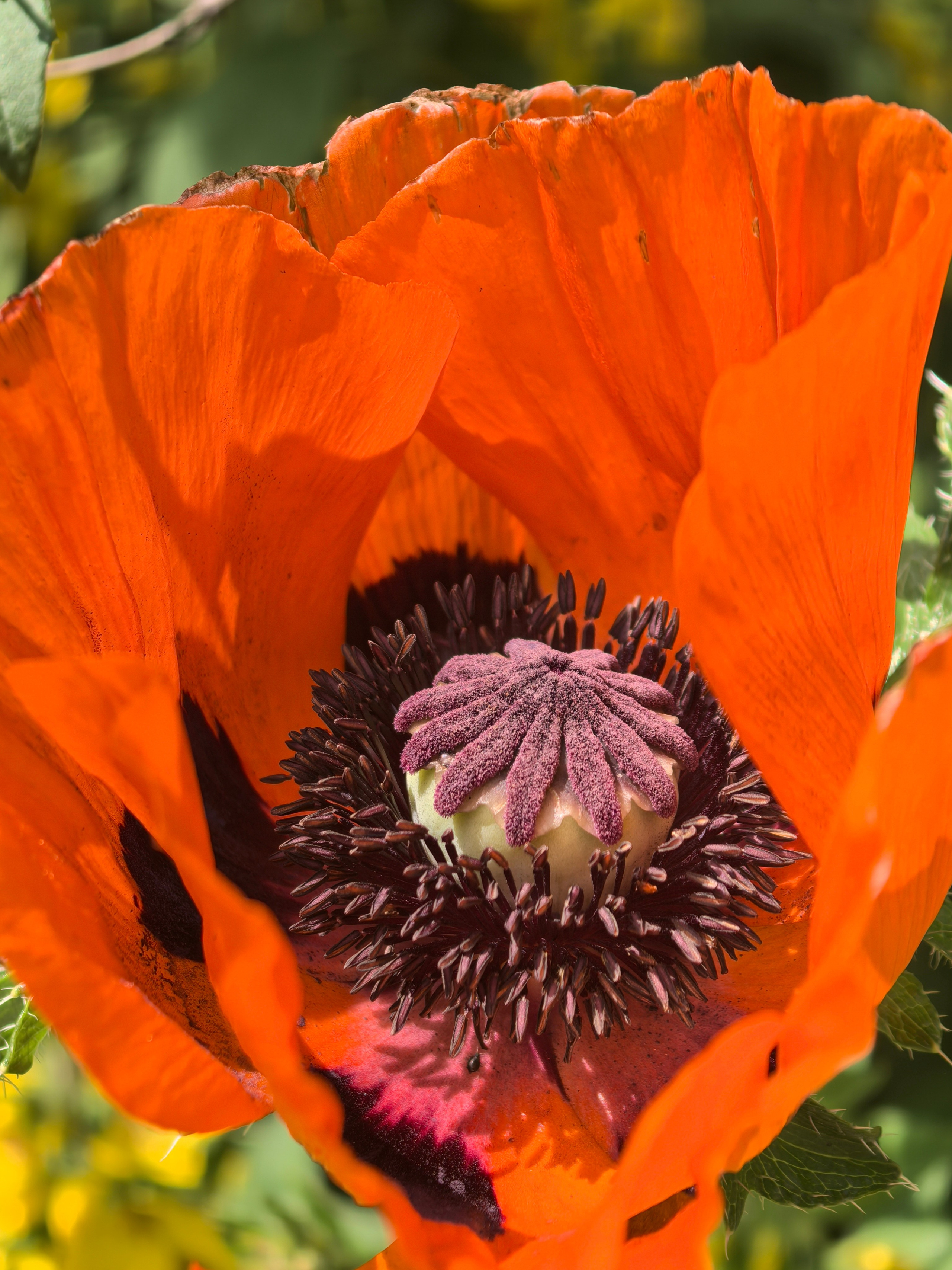 ПочтиМАКРО. Школьные выпускные альбомы в Москве Марина Николаева