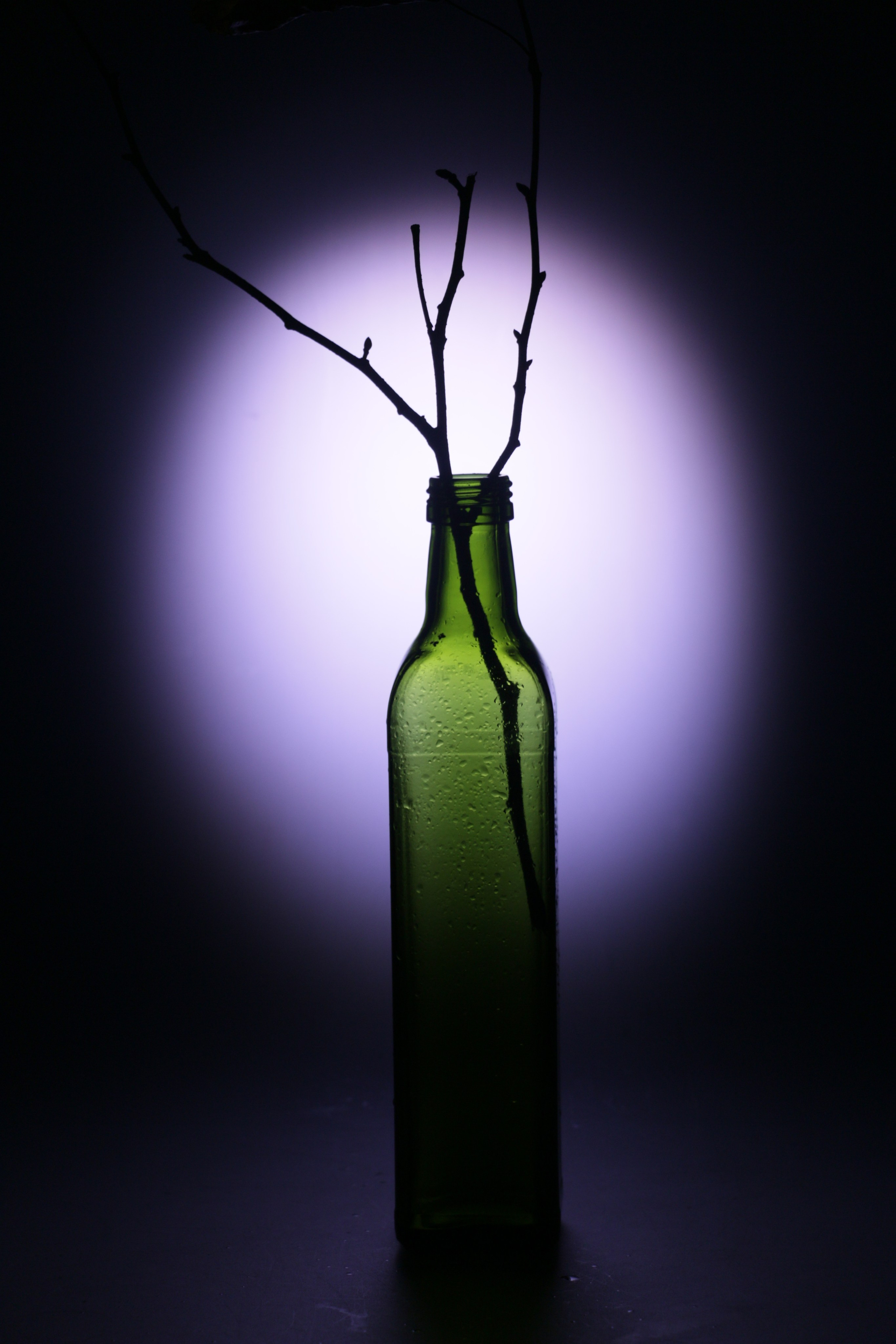 Натюрморты. Фотограф из Санкт-Петербурга — Виктория Горелкова