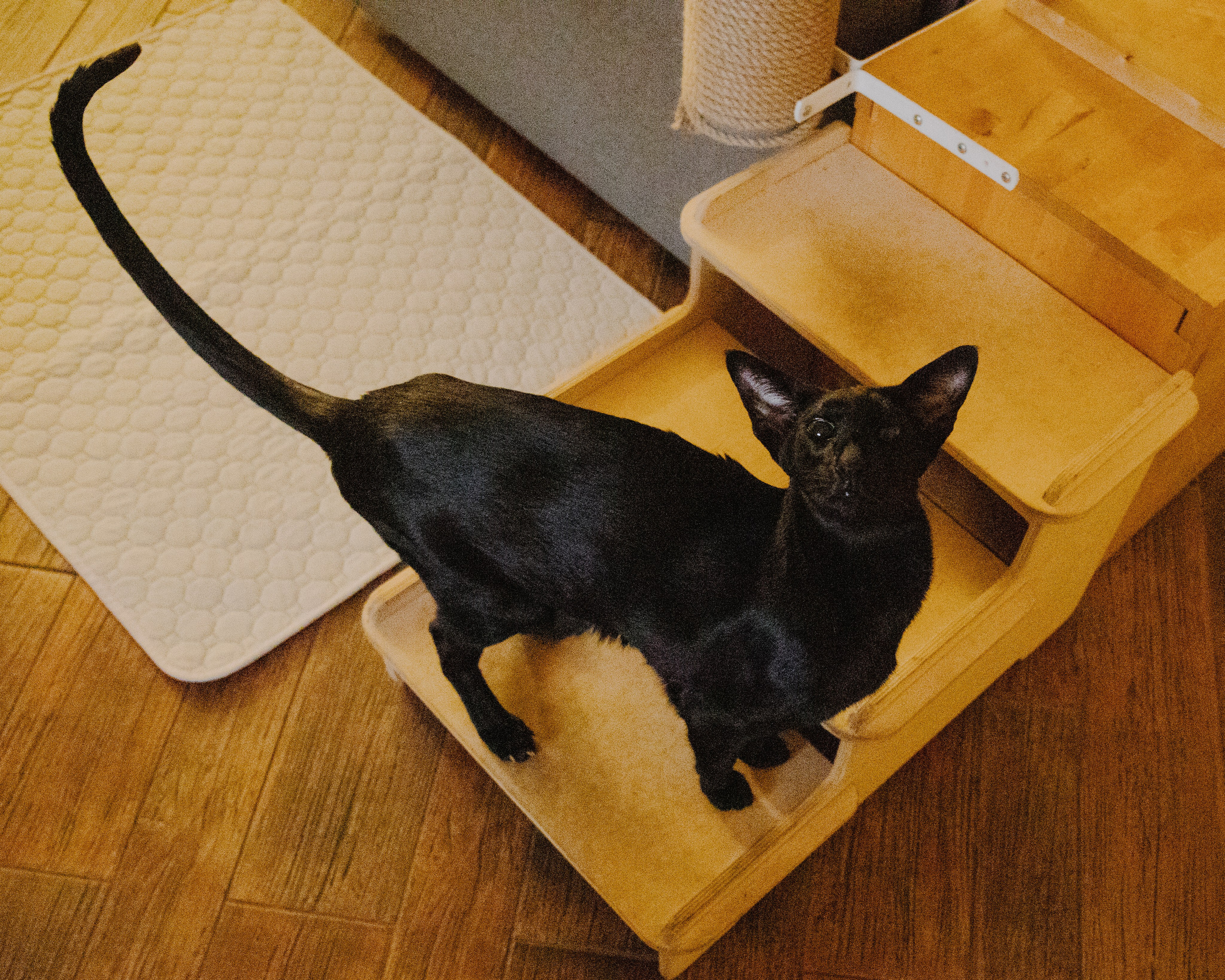 Гилдин. Портретный фотограф Ванинен Анастасия. Санкт-Петербург