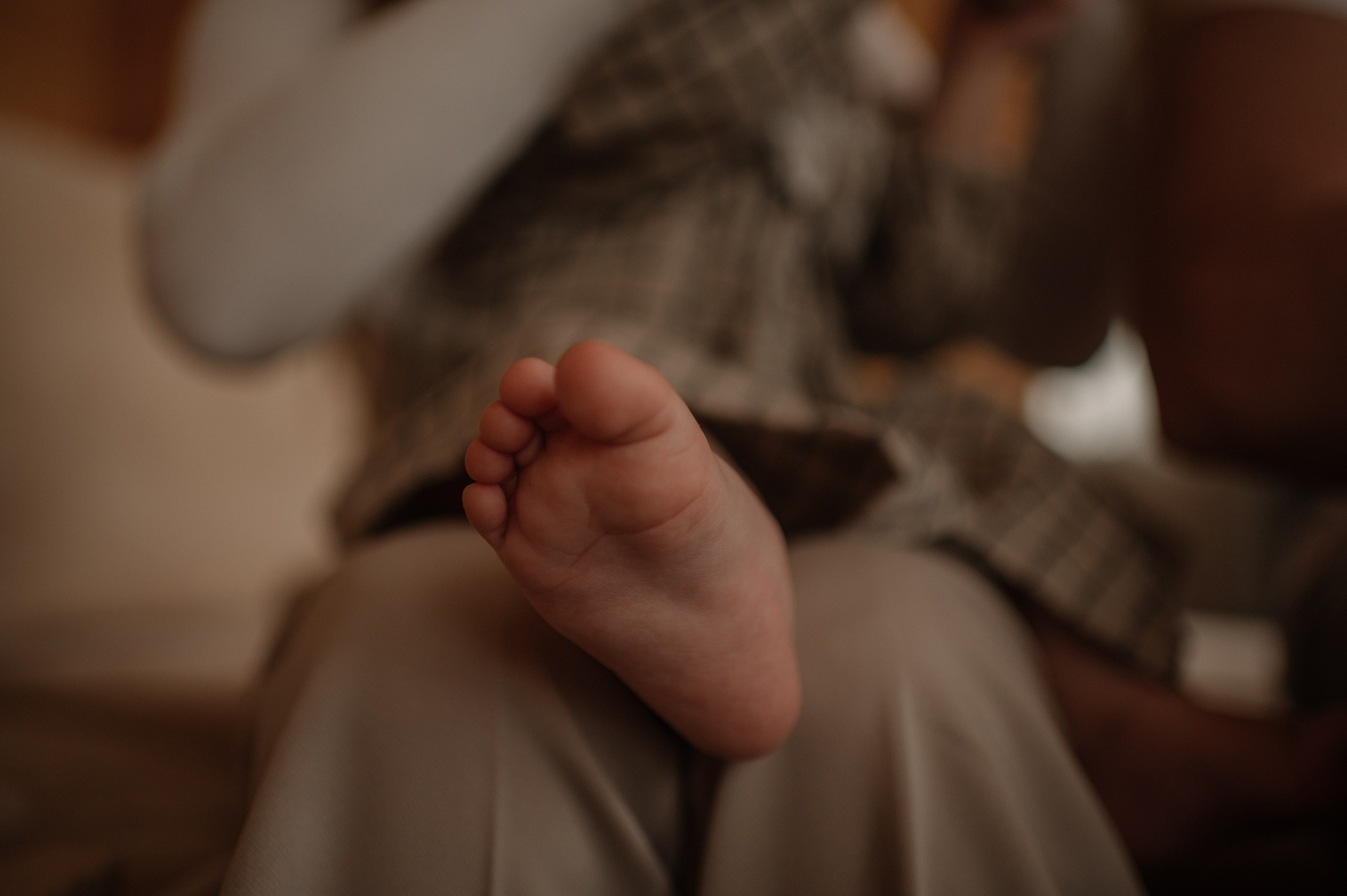 Маша, Паша и Мия. Фотограф в Москве Анна Литвинова