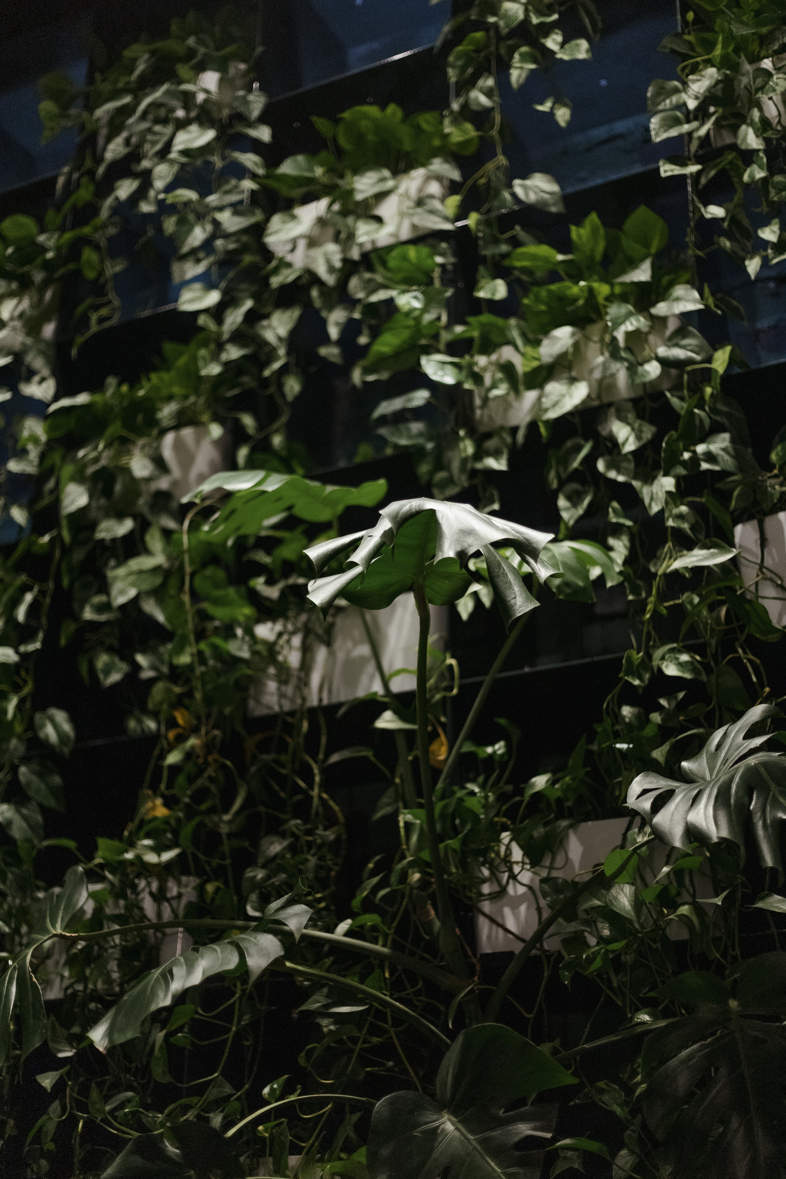 Ресторану ЭХО 10 ЛЕТ. СВОИ. ФОТООТЧЕТЫ-СОБЫТИЯ-МЕСТА