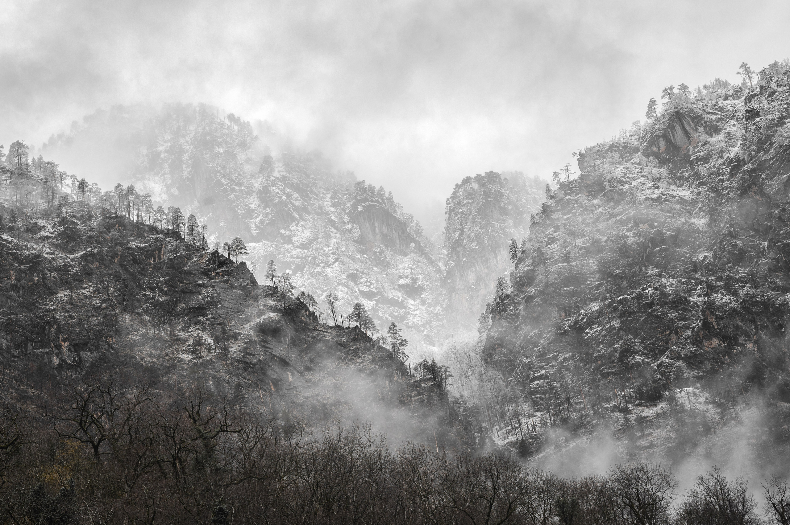 Туман в горах