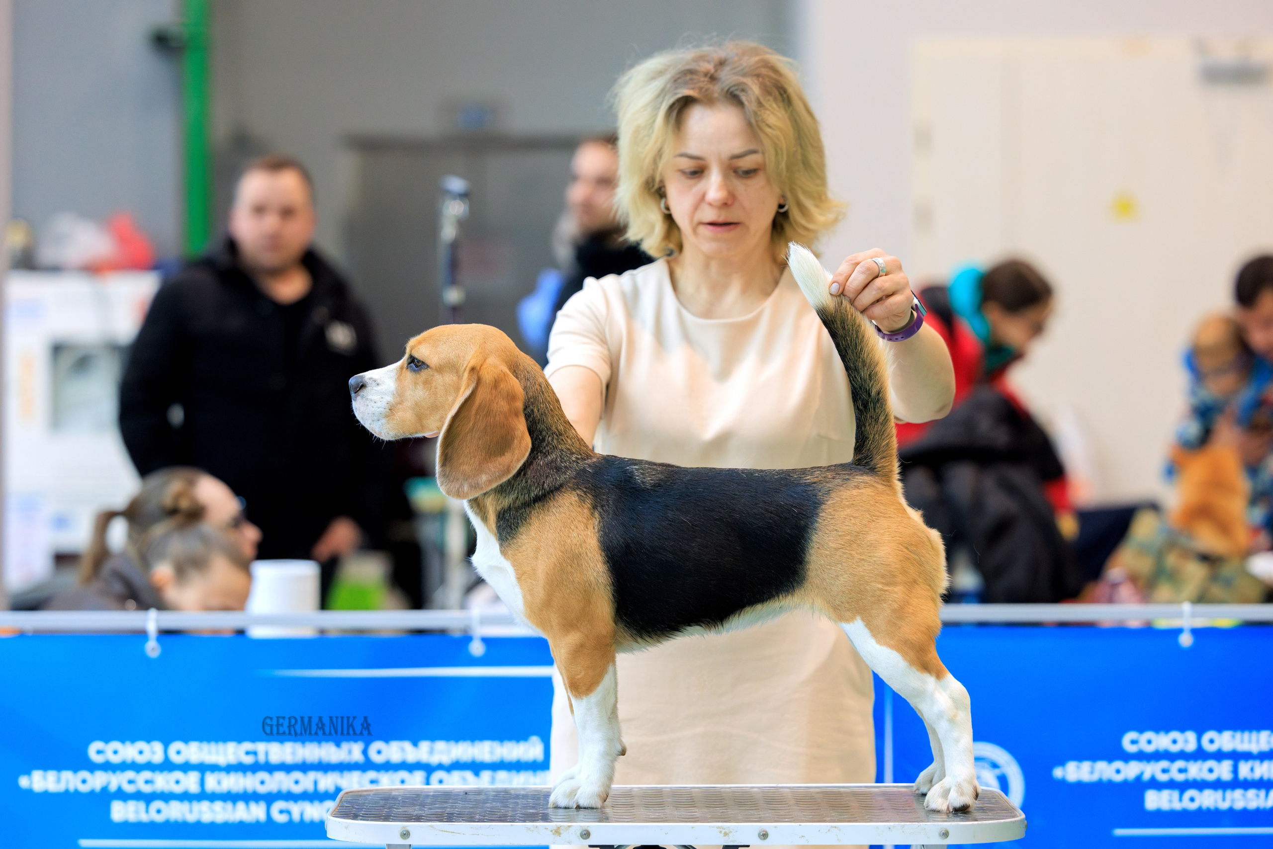 Минск 24-25.02.2024. Фотограф-анималист Юлия Германика