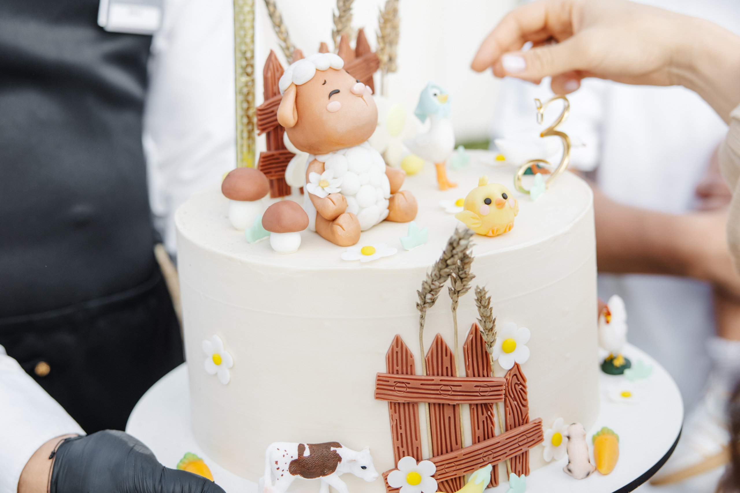 ГЕНДЕР ПАТИ. Фотограф в Красноярске