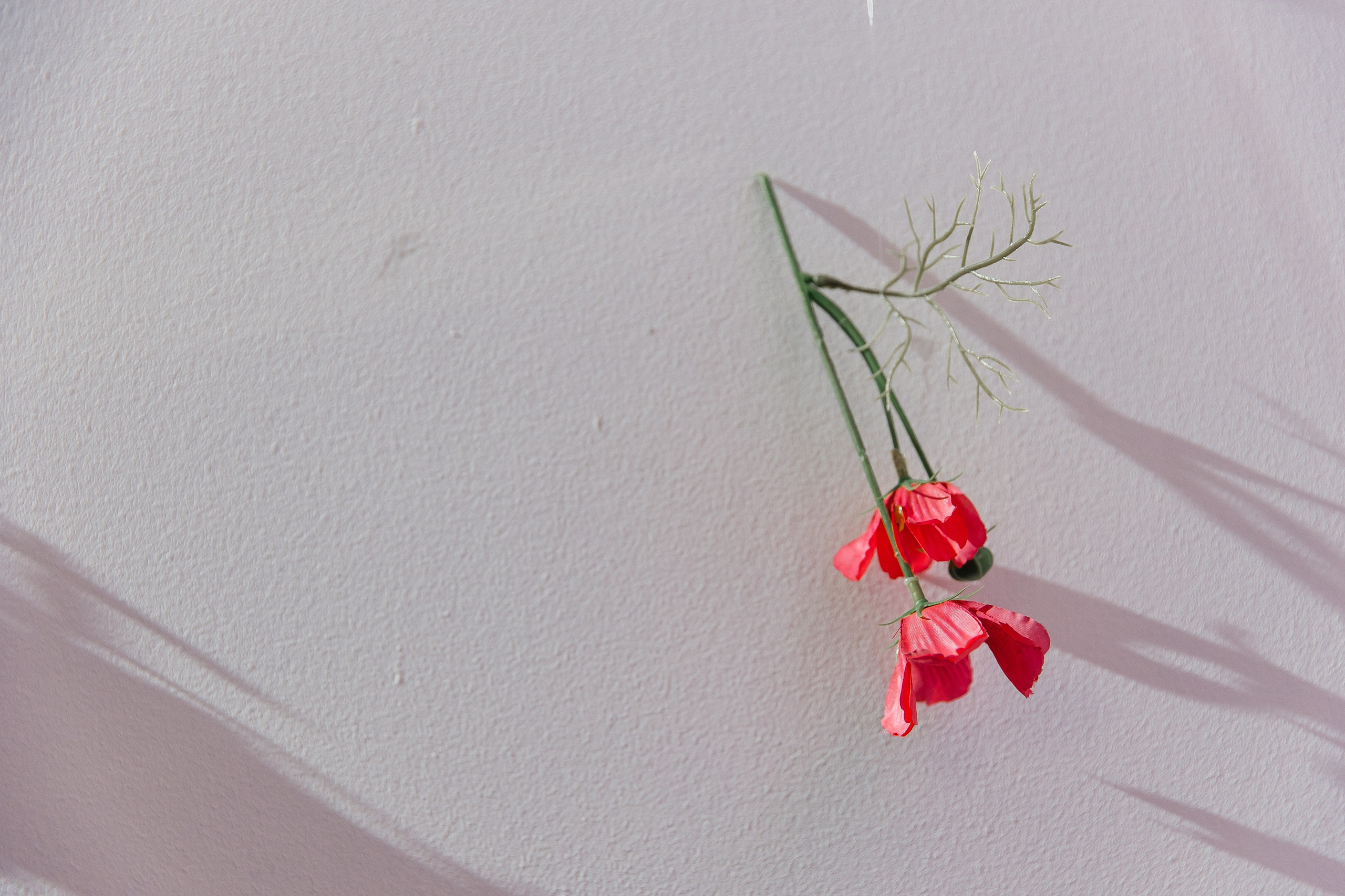 РУСАЛ 65 ЛЕТ. Фотограф в Красноярске