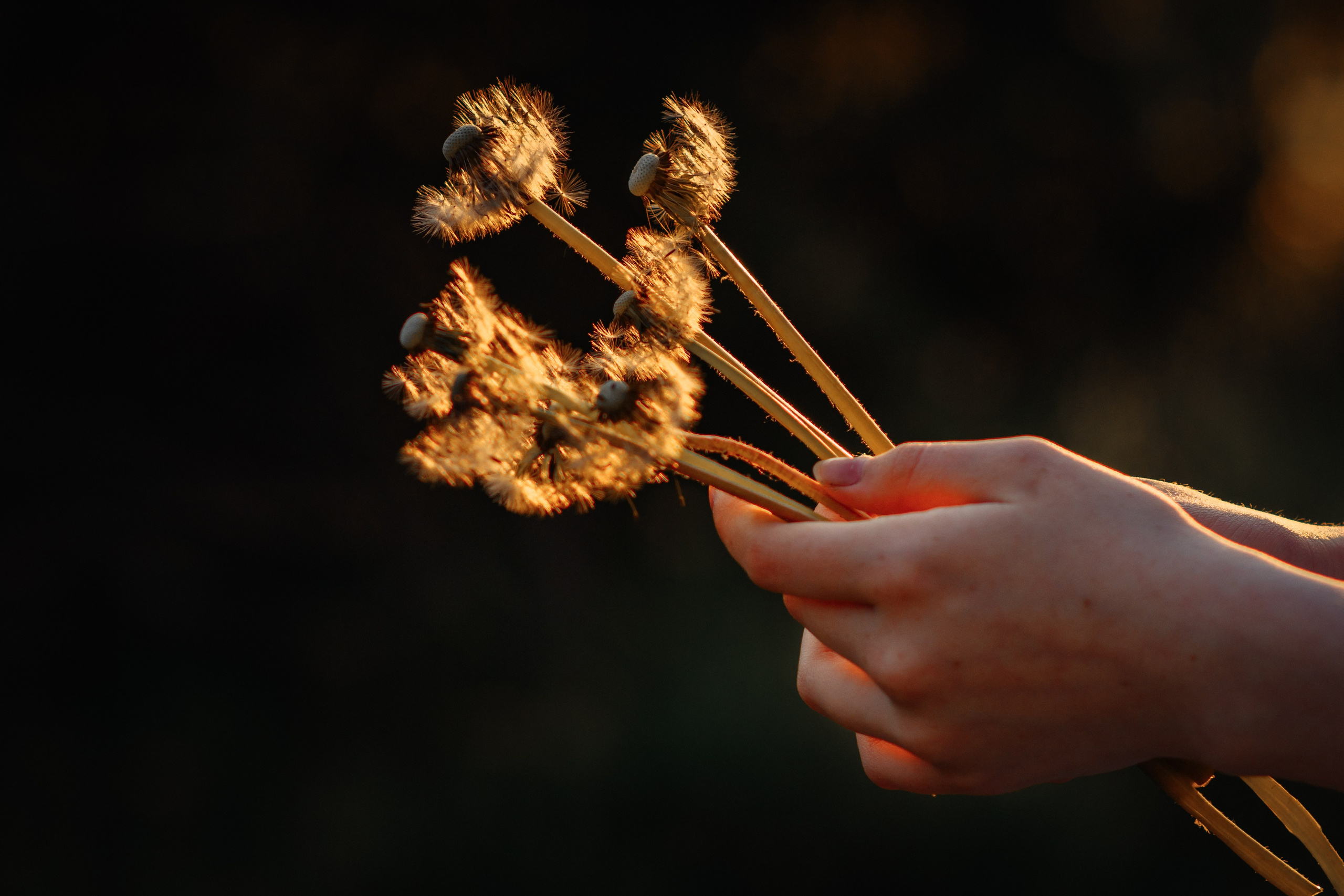 Оранжевый закат. Фотограф в Ижевске Наталья Медведцева