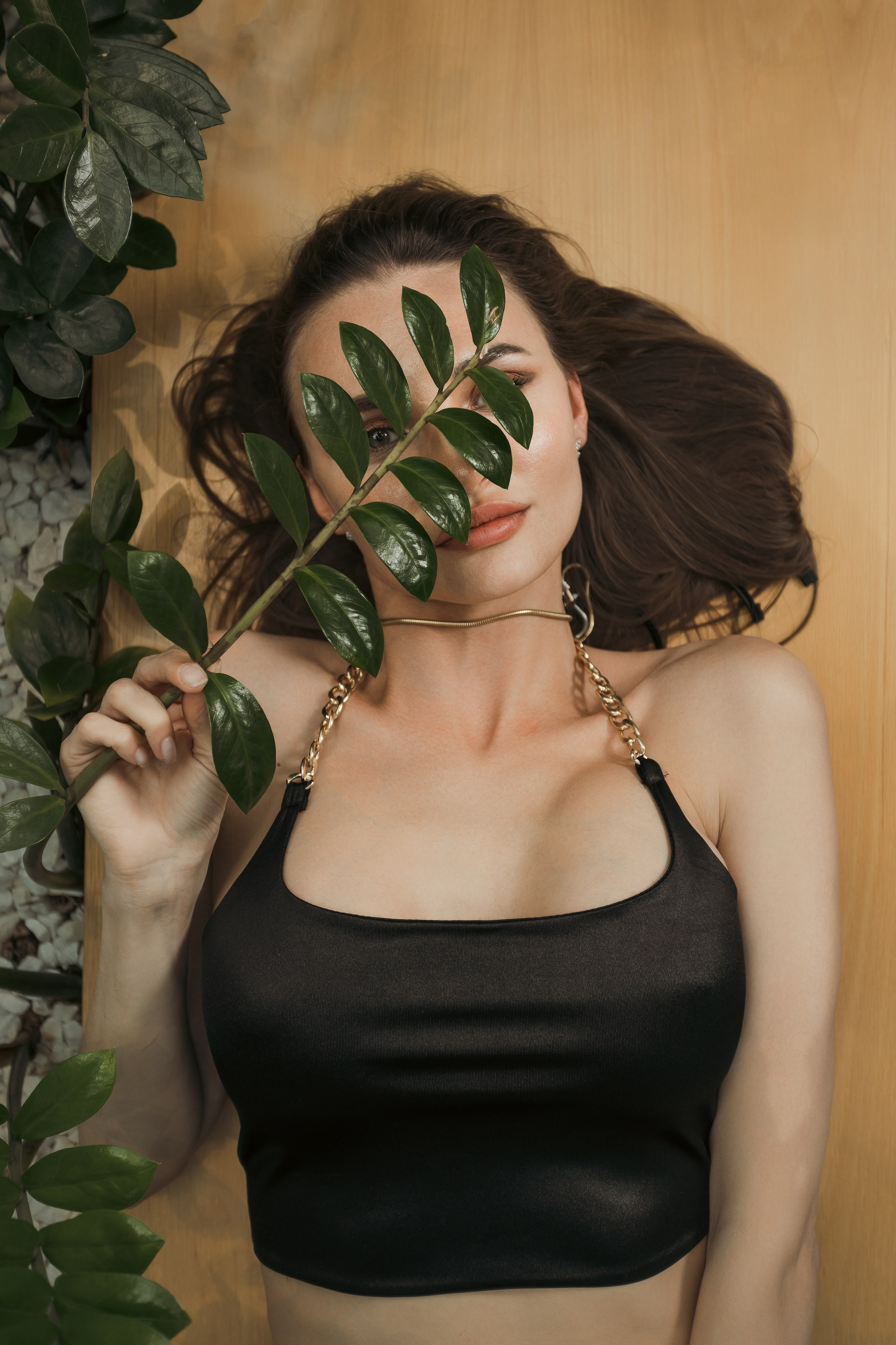 В помещении. Photomantis