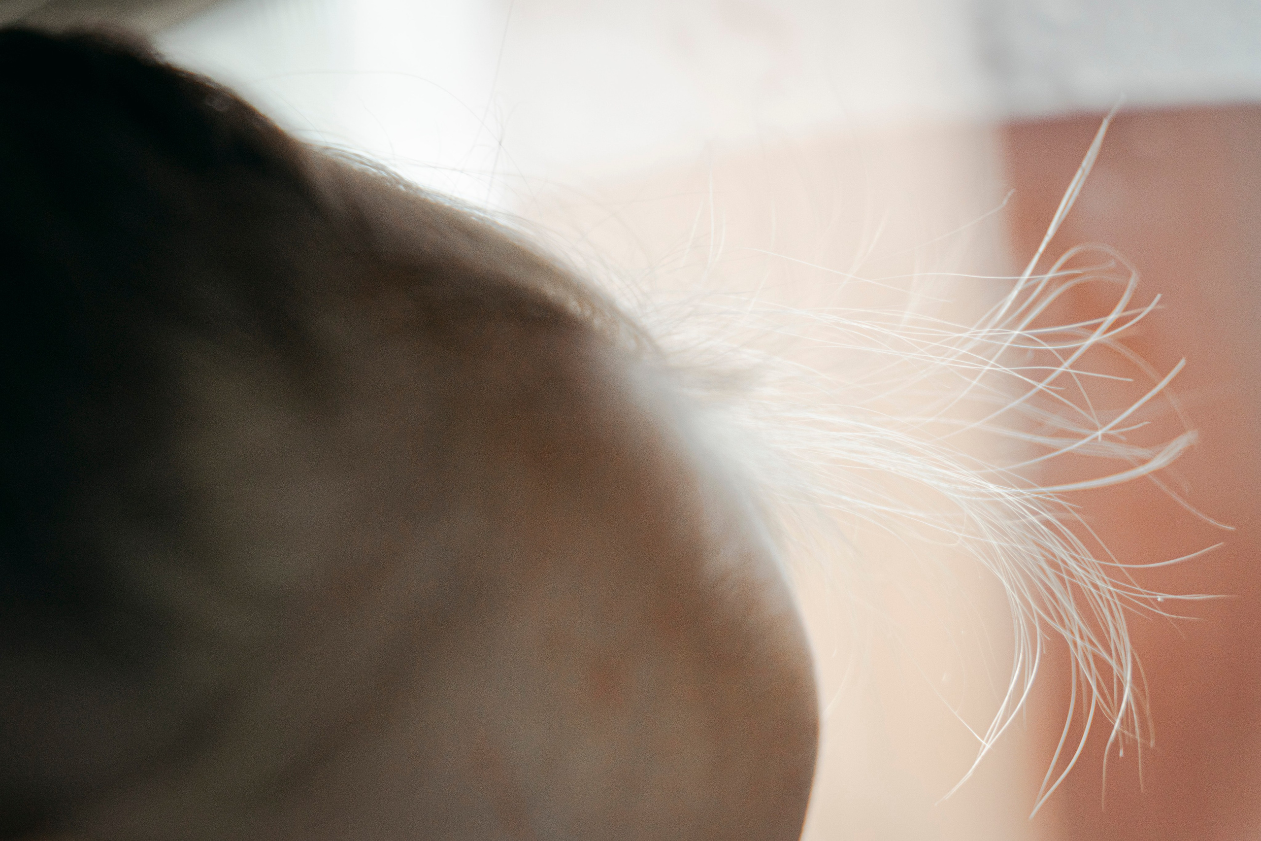 Молчановы. Многолетний проект о молодой семье. Фотограф в Москве Савкина Евгения