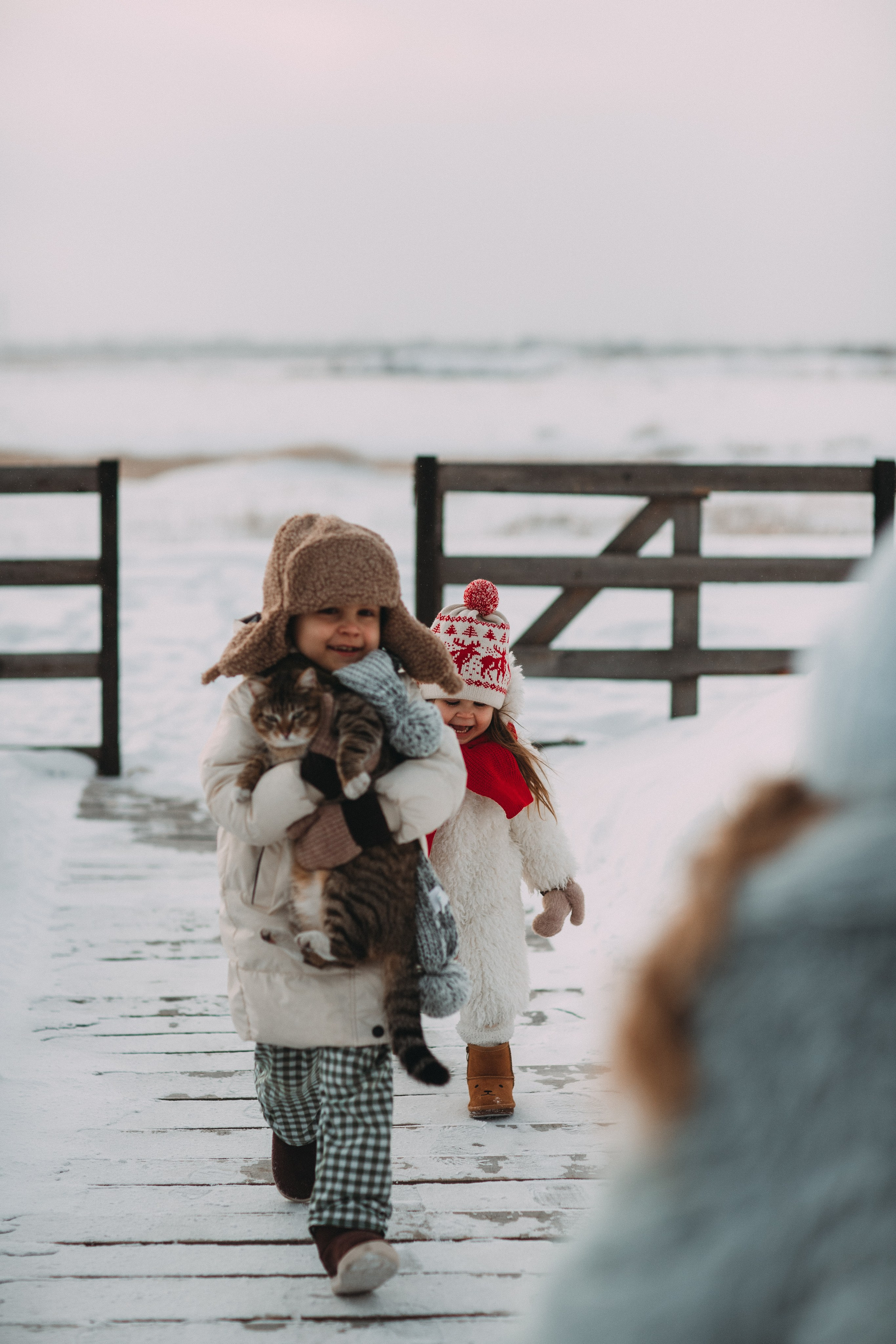 Треугольный домик. Главная