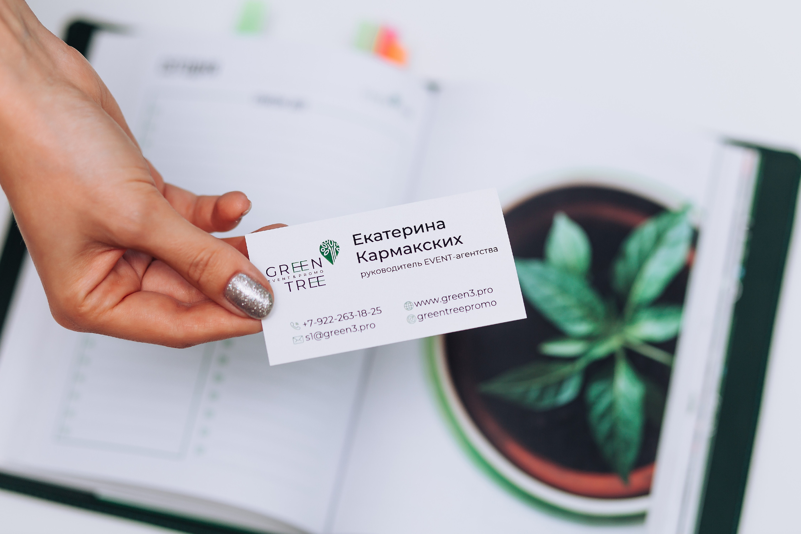 Green tree. Мария Стеклова контент фотограф и семейный фотограф в Омске и Тюмени