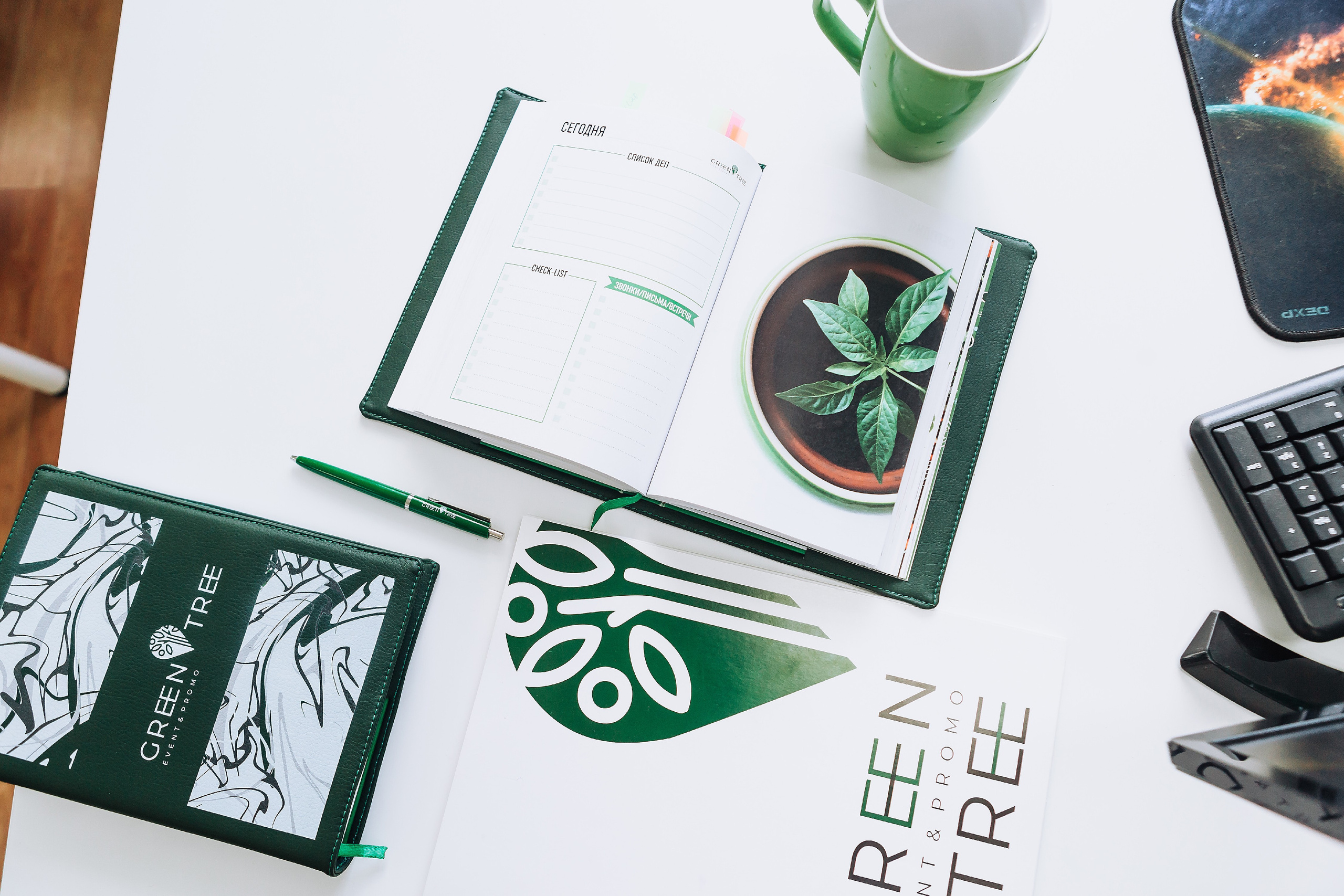 Green tree. Мария Стеклова контент фотограф и семейный фотограф в Омске и Тюмени