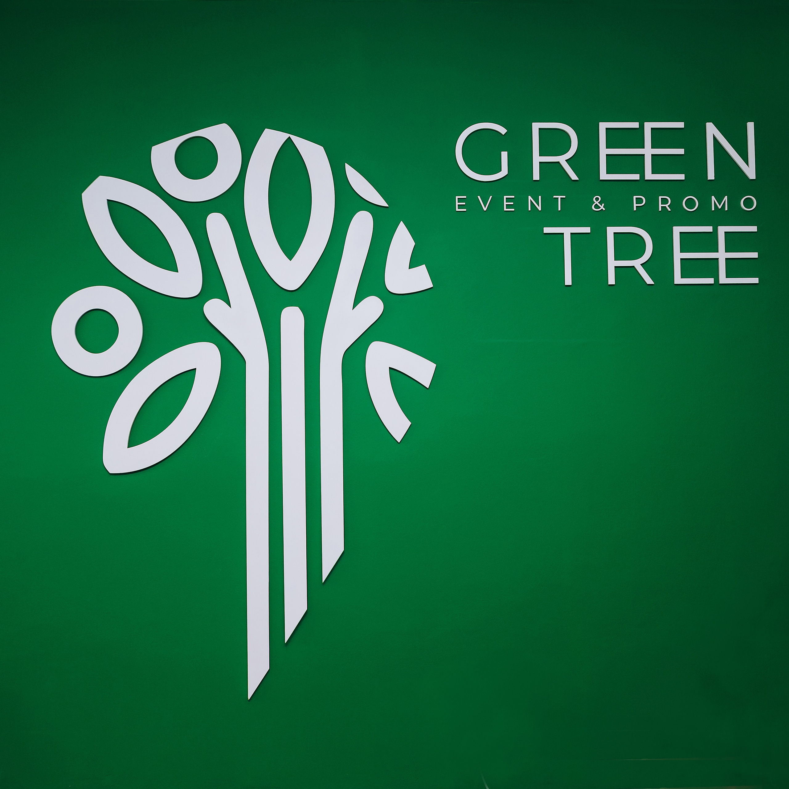 Green tree. Мария Стеклова контент фотограф и семейный фотограф в Омске и Тюмени