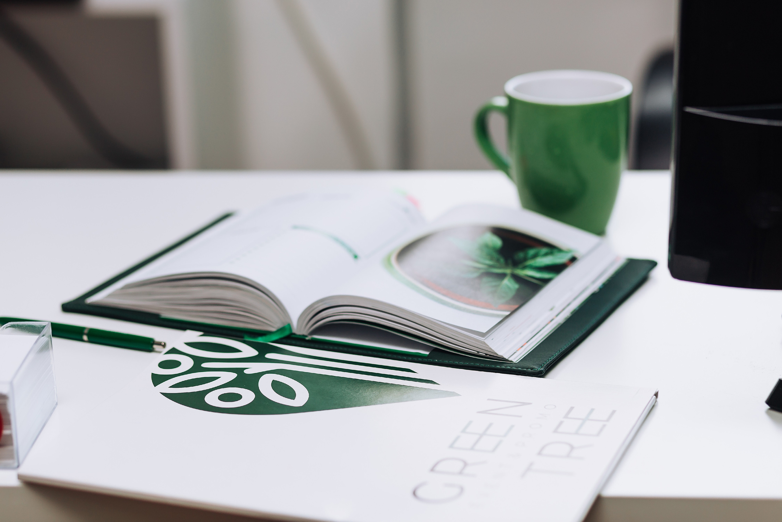 Green tree. Мария Стеклова контент фотограф и семейный фотограф в Омске и Тюмени