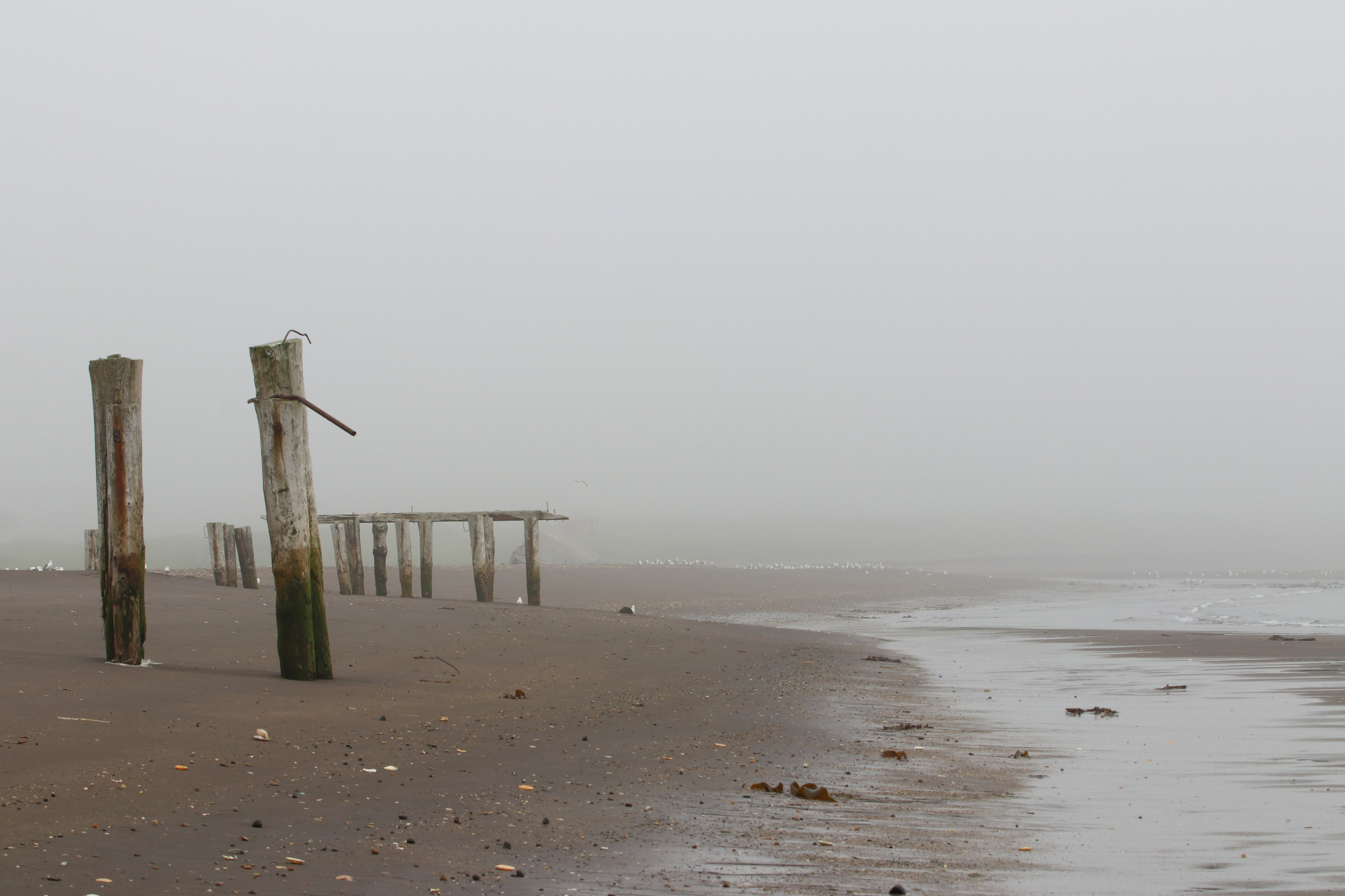 Камчатка и о. Парамушир. Июль 2024. Путешественник-фотограф из Санкт-Петербурга Татьяна Свистулина