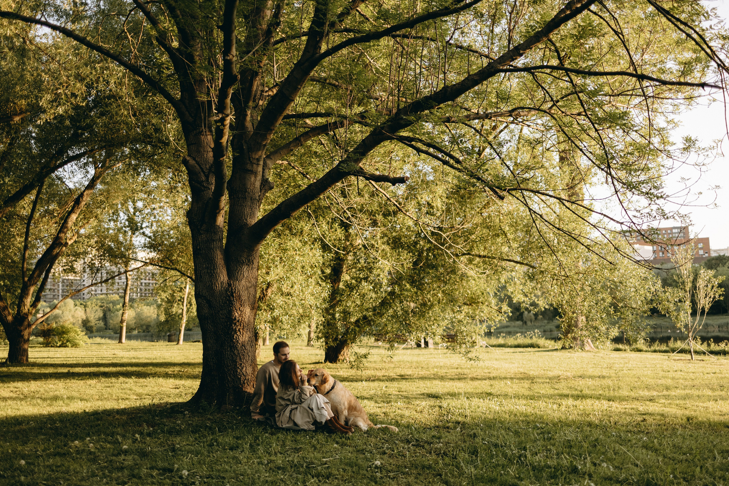 Пенни и ребята. Фотограф — Анималист | Санкт-Петербург