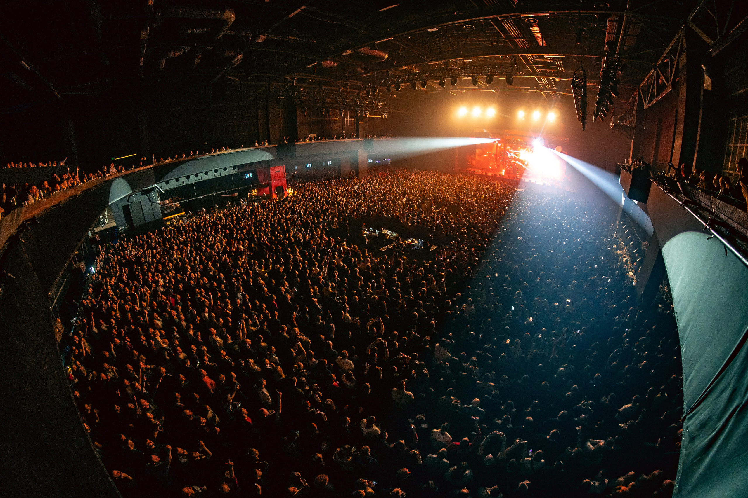 КОНЦЕРТЫ. RVANCEVA