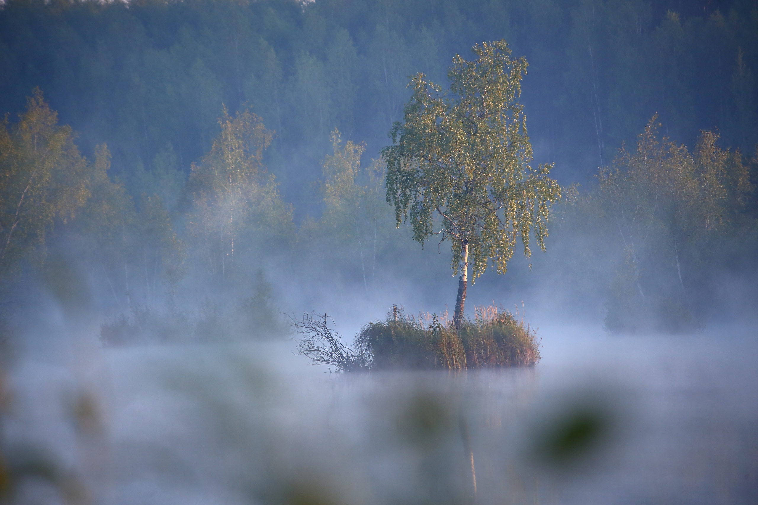 Туманным утром. Свадебный и репортажный фотограф в Ярославле и Санкт-Петербурге Роман Микрюков