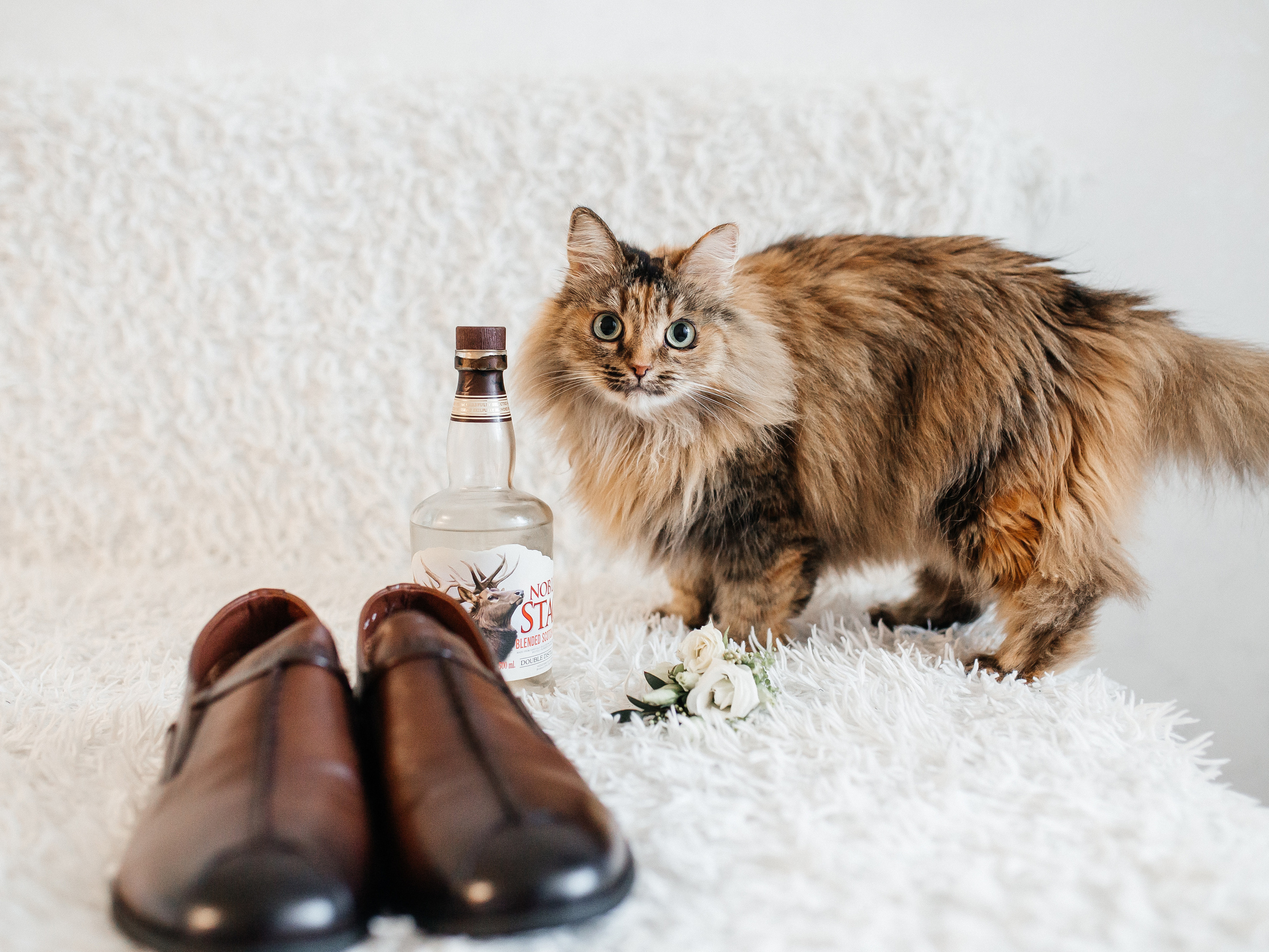 Летняя. Фотограф в г. Октябрьский (Башкортостан) Елена Вотинцева