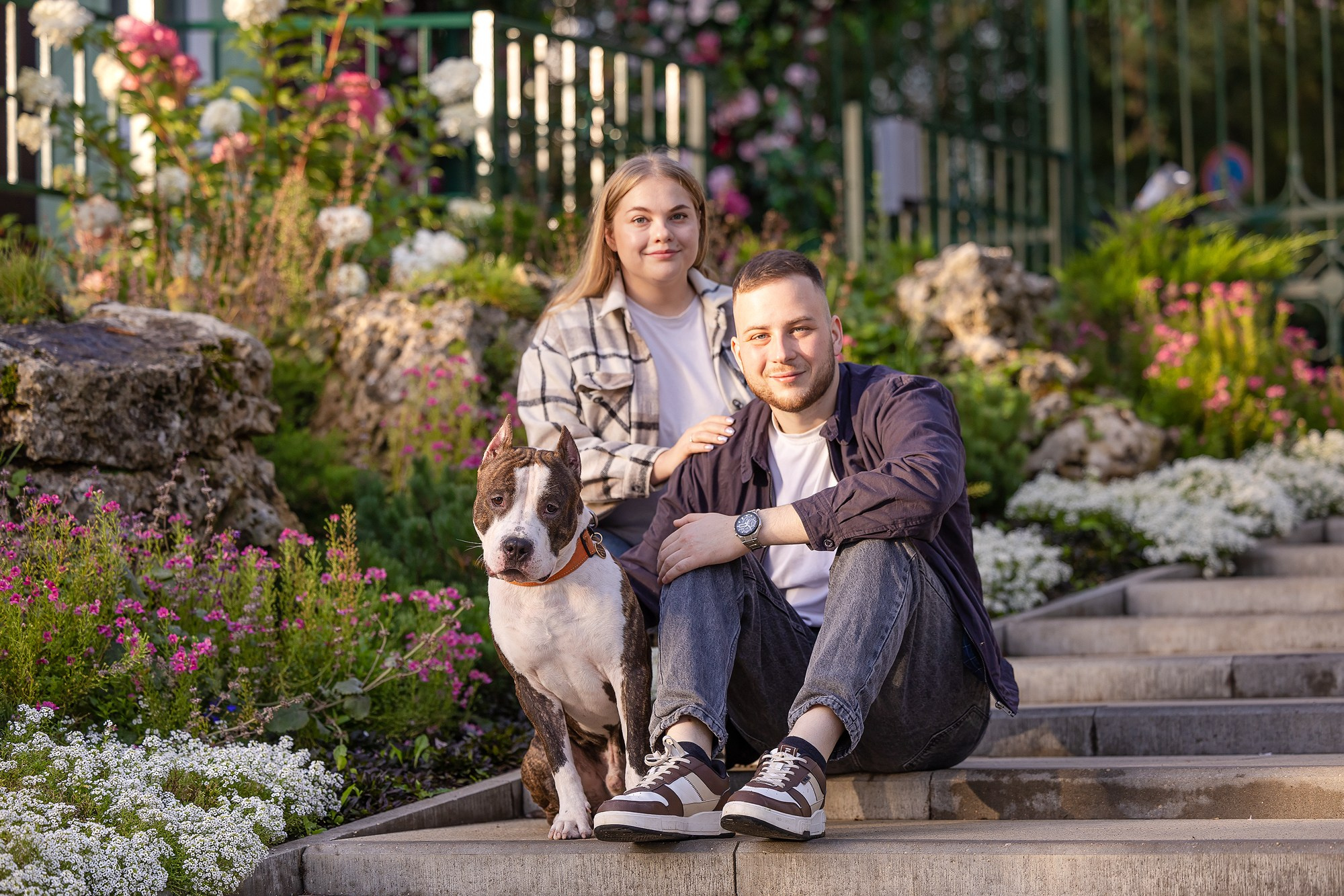 Амстафф Честер и его семья. Фотограф-анималист Natalia Deingel | Фотосъемка собак в Москве