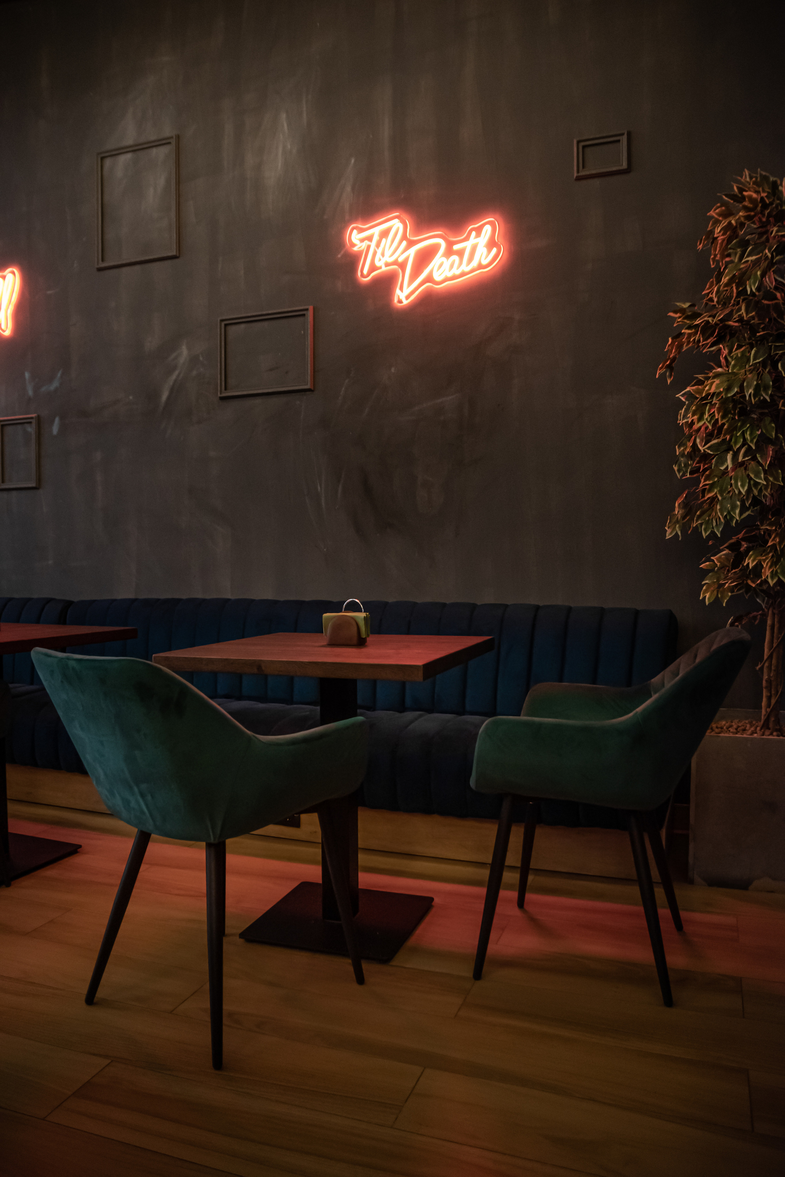 Plata bar. Фотограф Лобанов Антон, г. Москва