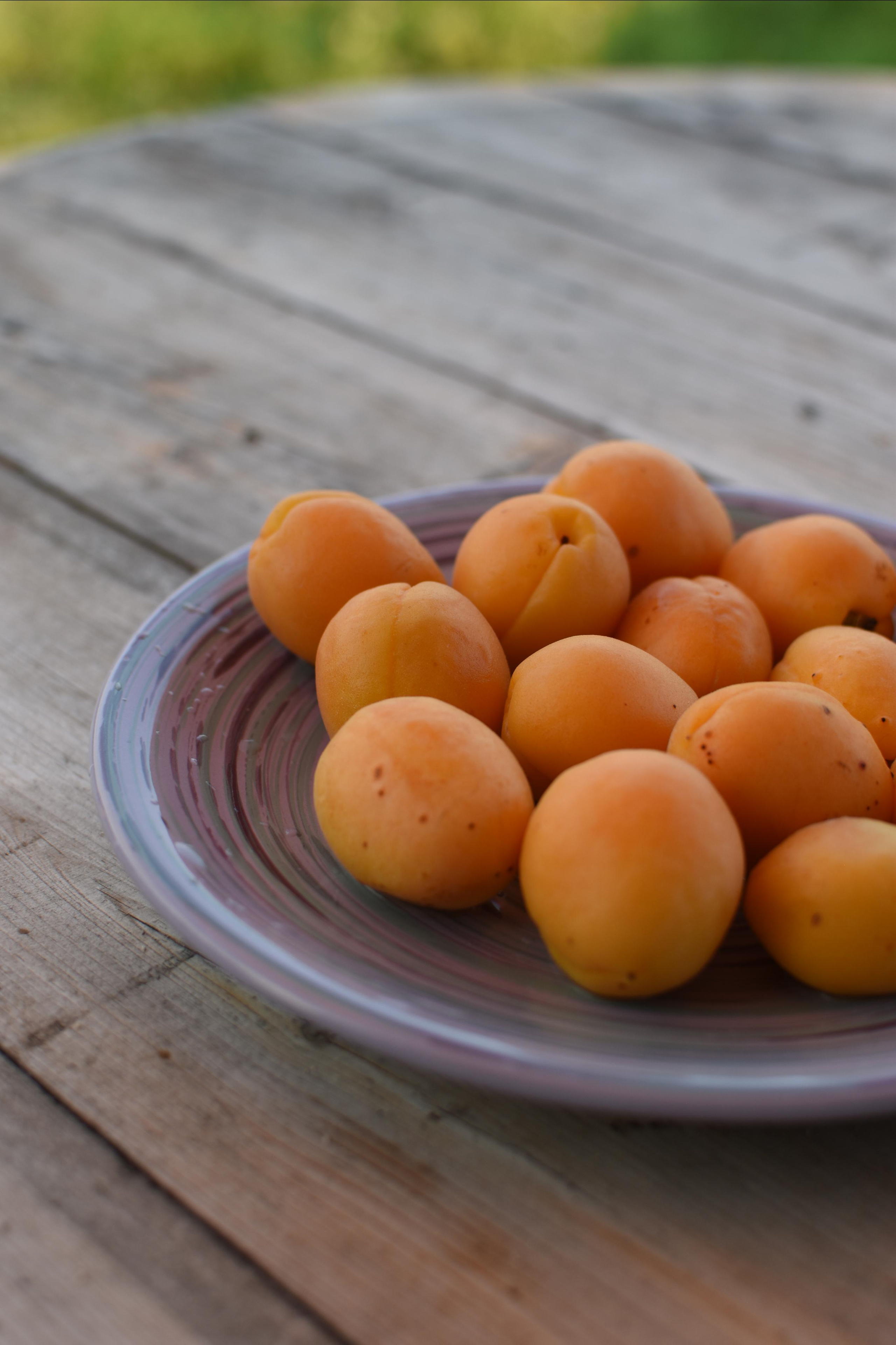 Фито-отель Лаванда. Фотограф Лобанов Антон, г. Москва