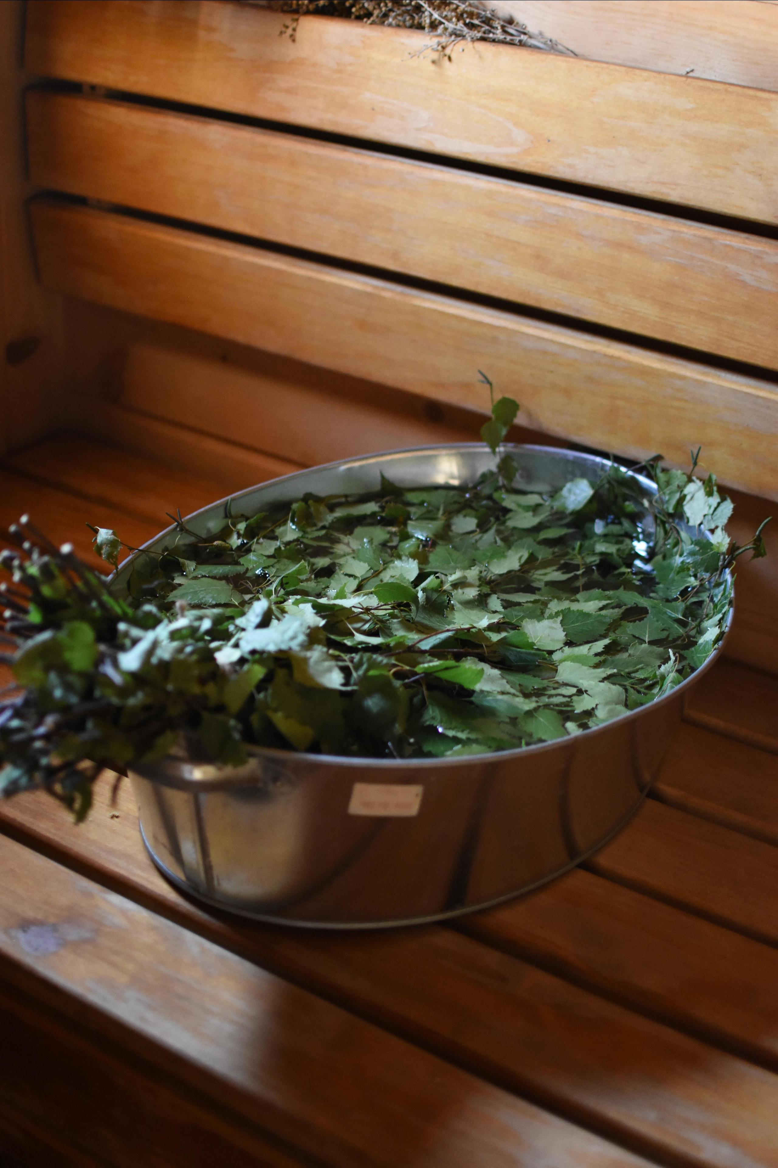 Фито-отель Лаванда. Фотограф Лобанов Антон, г. Москва