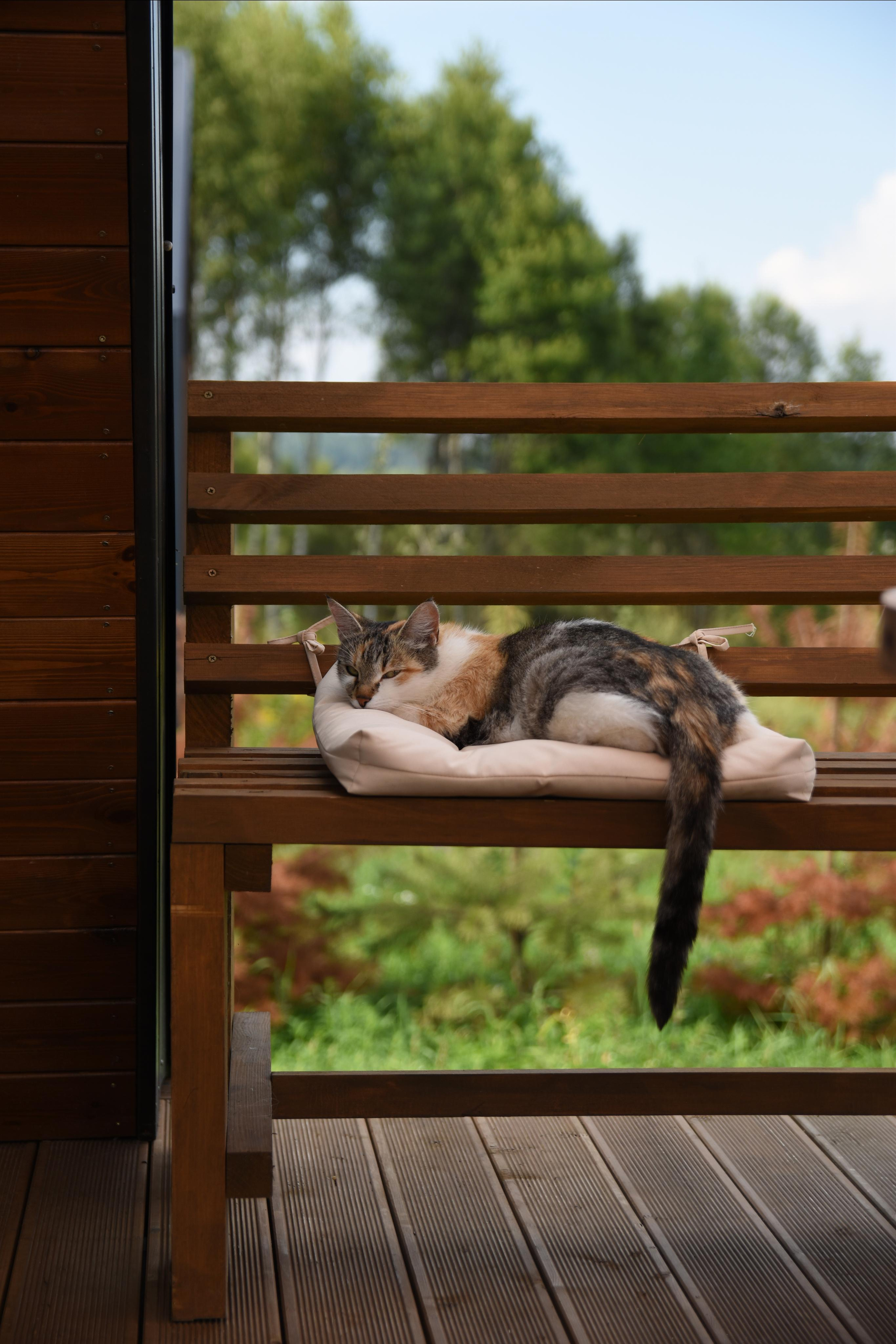 Фито-отель Лаванда. Фотограф Лобанов Антон, г. Москва