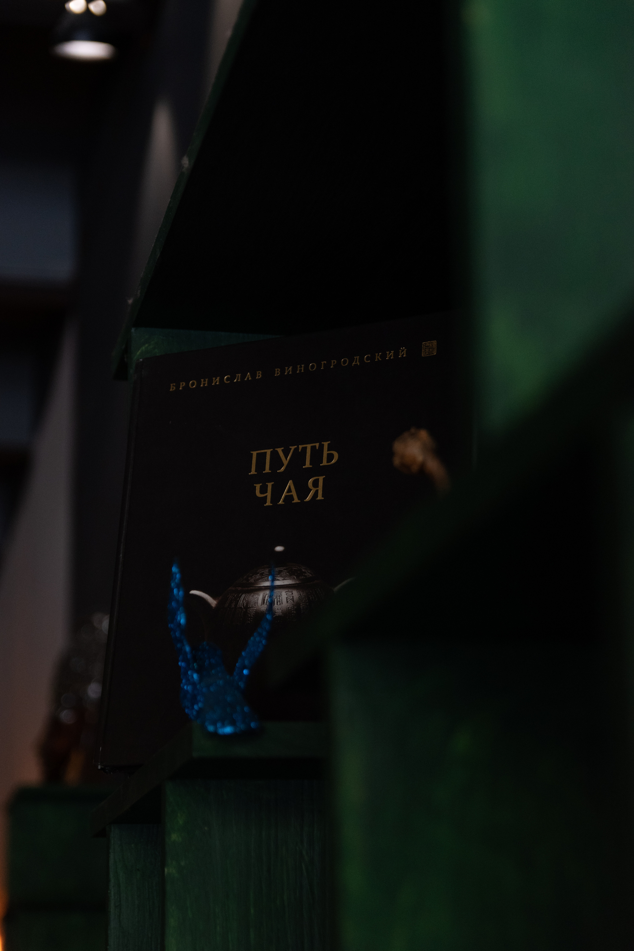 Чайный дом Ци. Фотограф Лобанов Антон, г. Москва