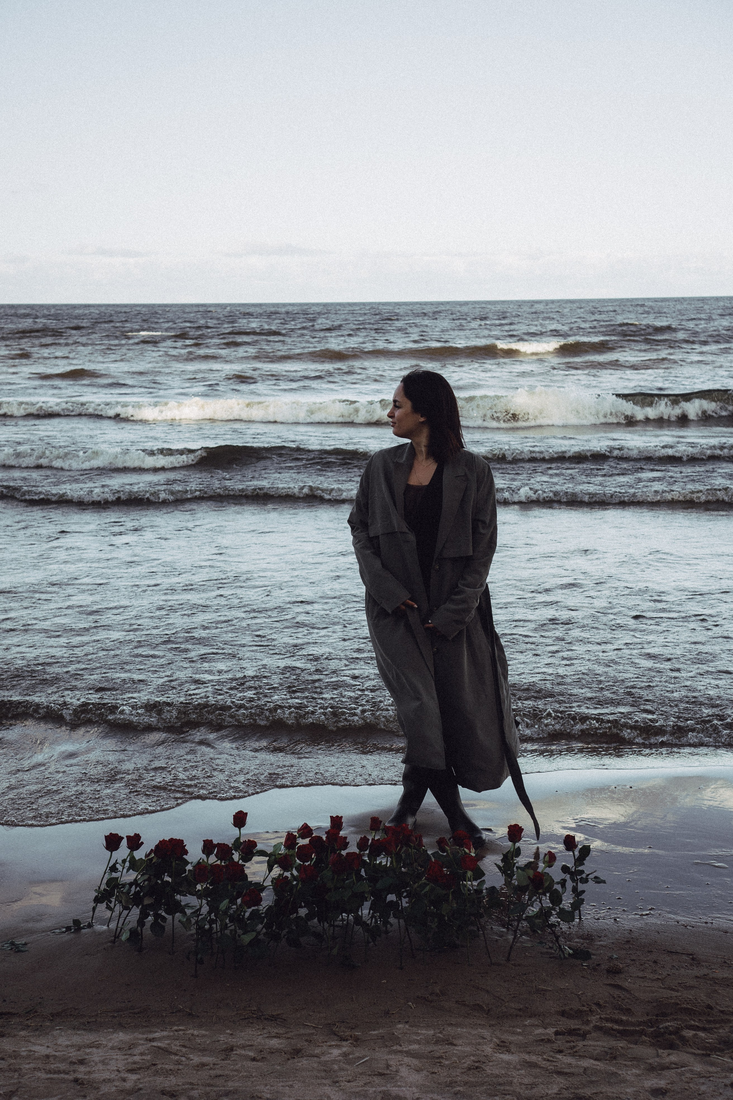 Розы. Профессиональный фотограф, Санкт-Петербург — Виктория Богомолова