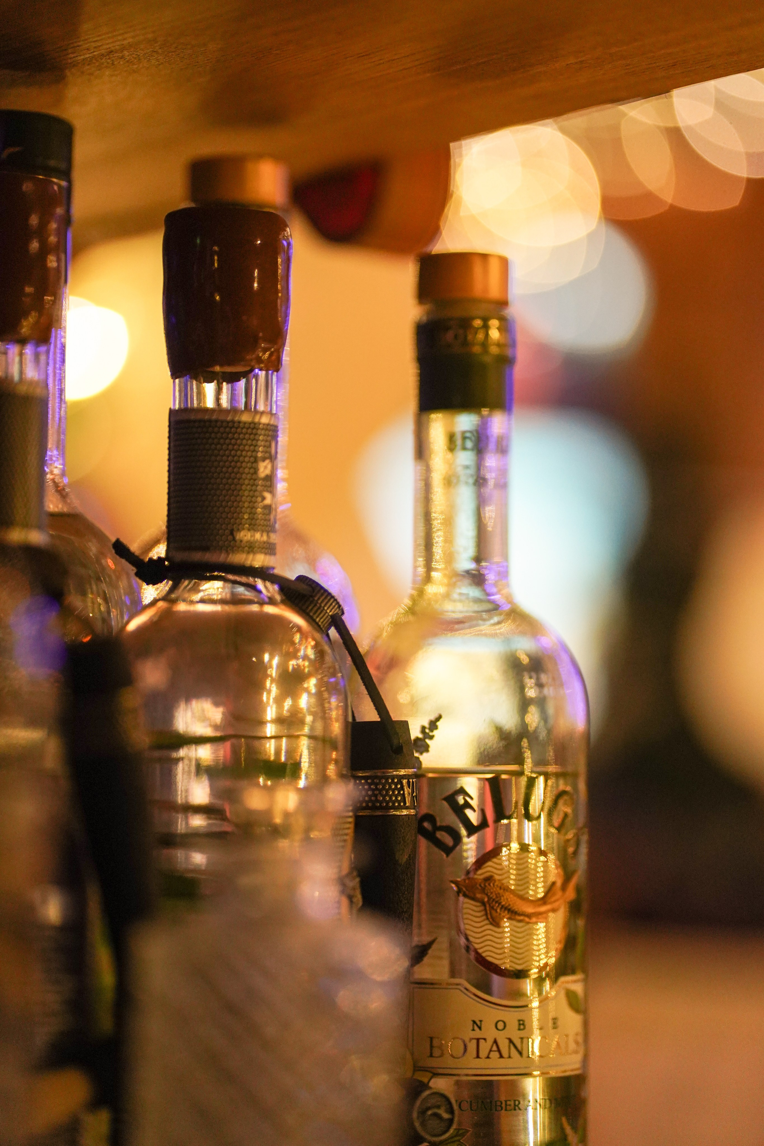 Бар Собаки в тумане. Фотограф