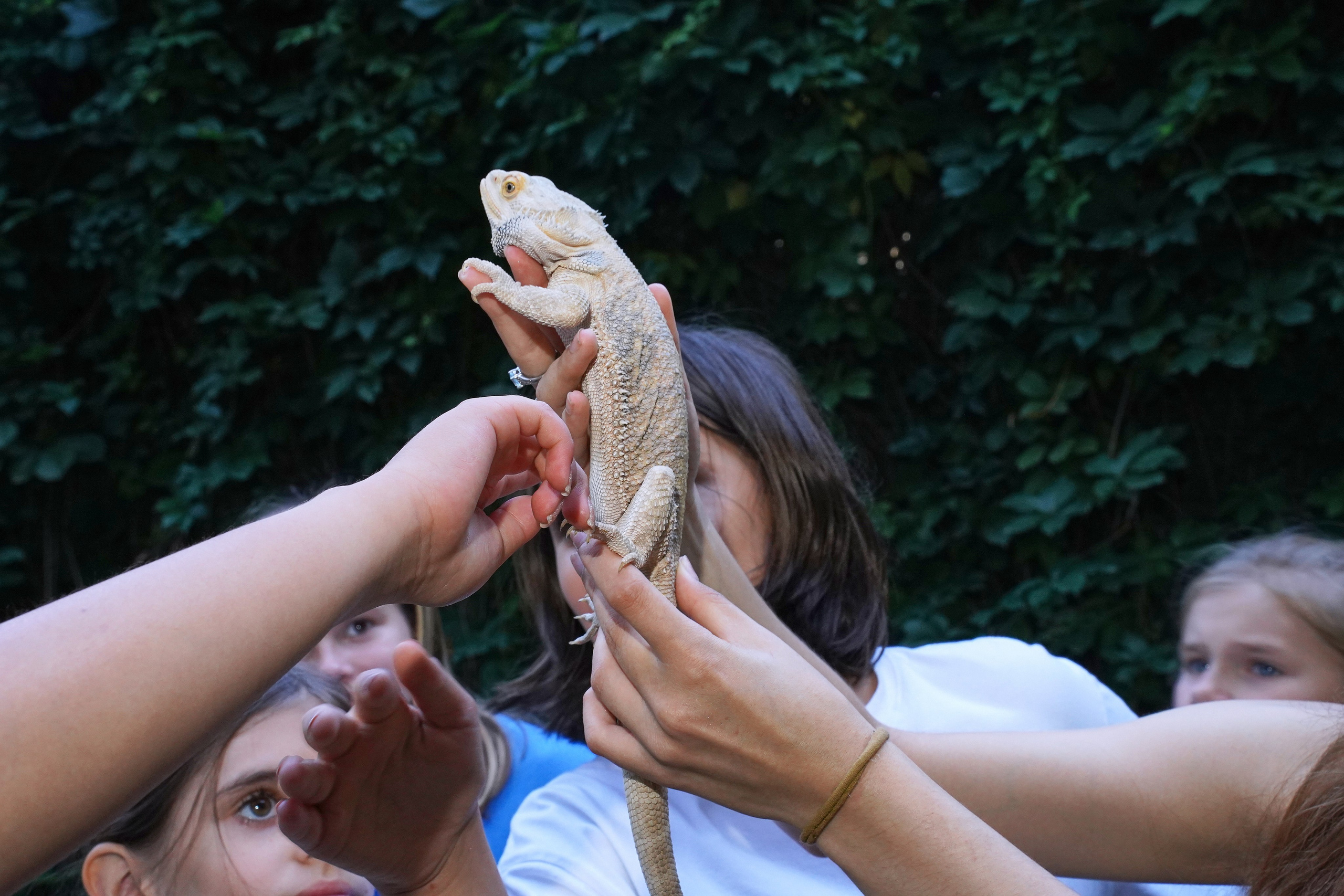 Екатерина детский день рождения. Фотограф