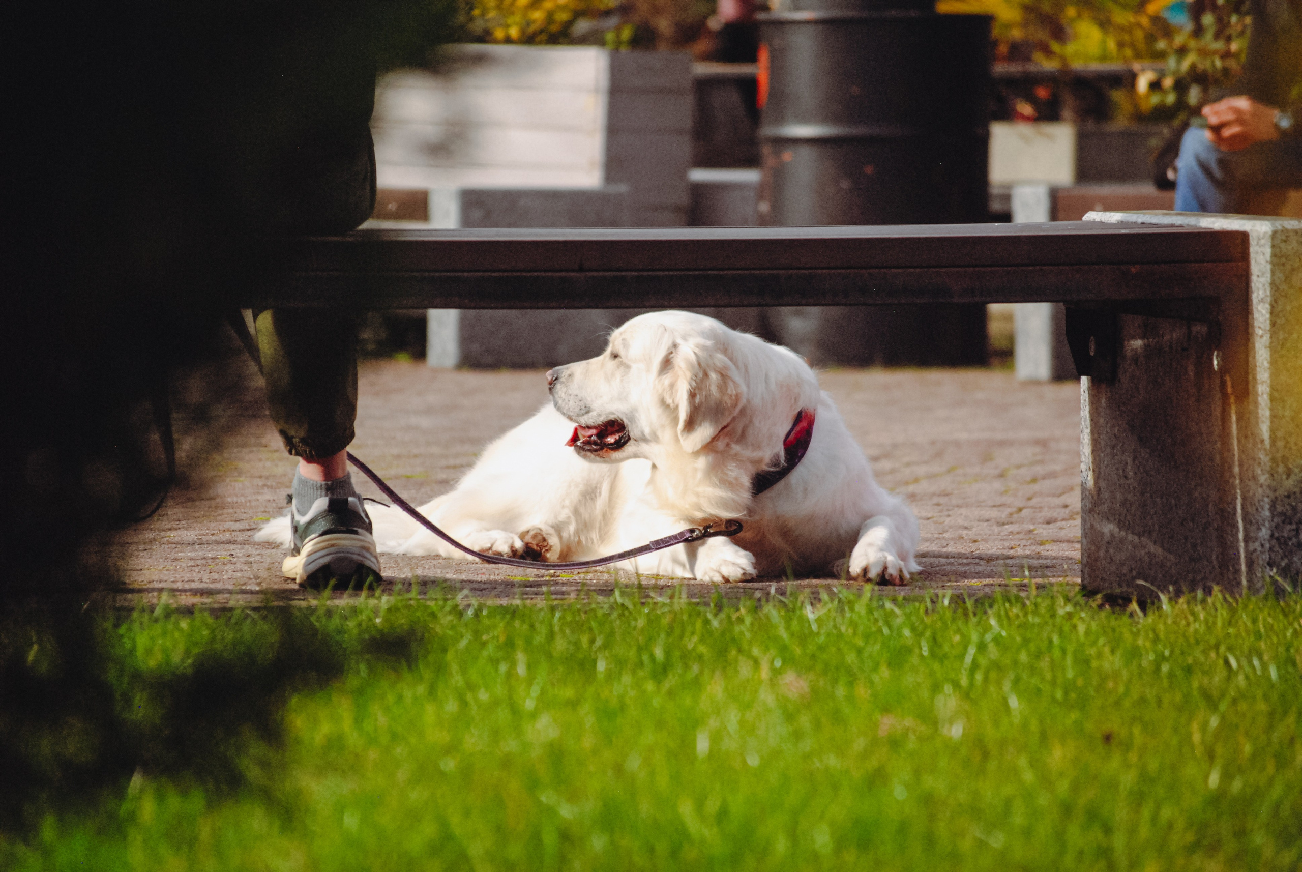 Пейзажная Фотопрогулка. Индивидуальная и Семейная Фотосъёмка для каждого