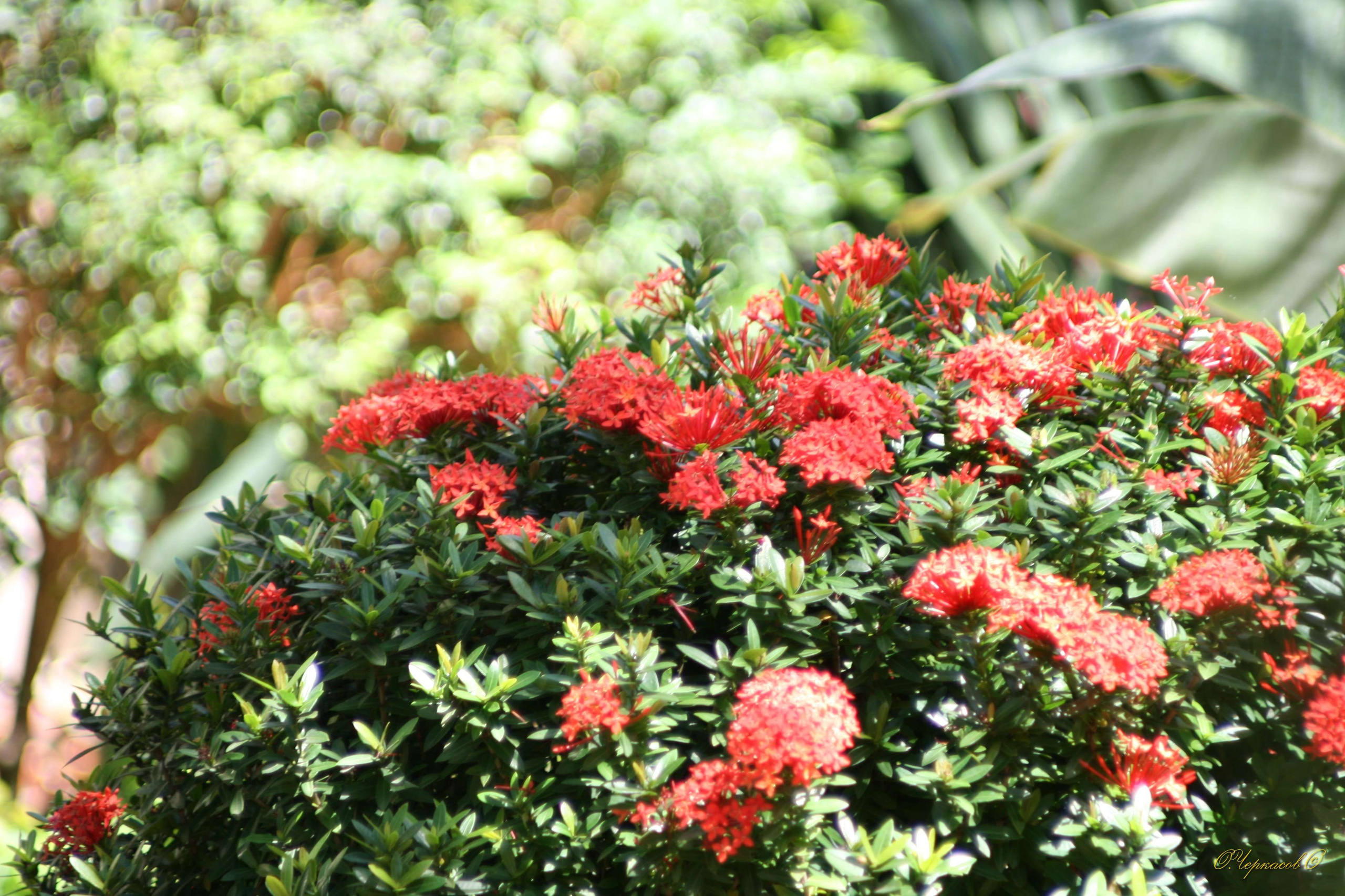 Вьетнам 2008 г. Улица, люди, жизнь…