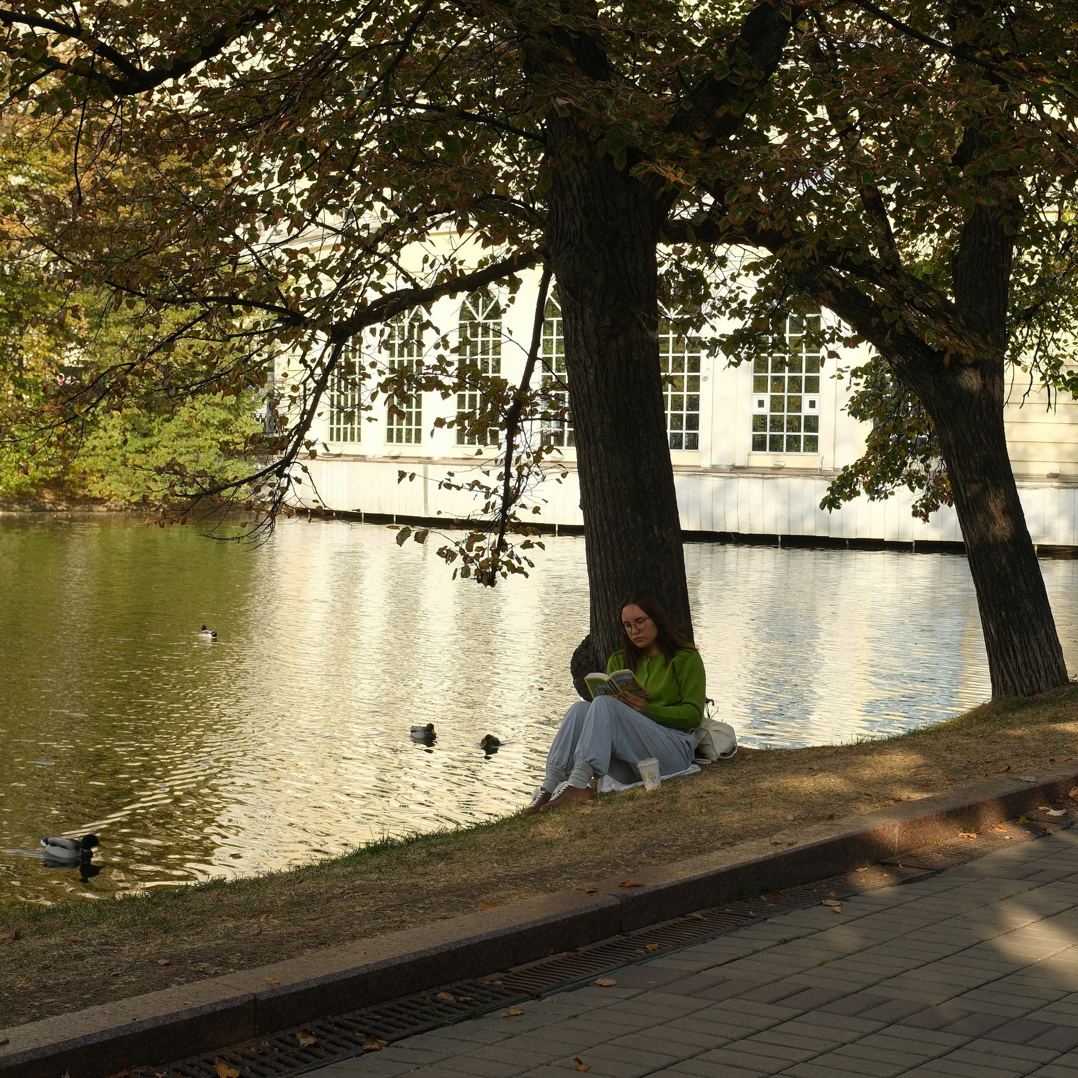 Сентябрь 2025. Улица, люди, жизнь…