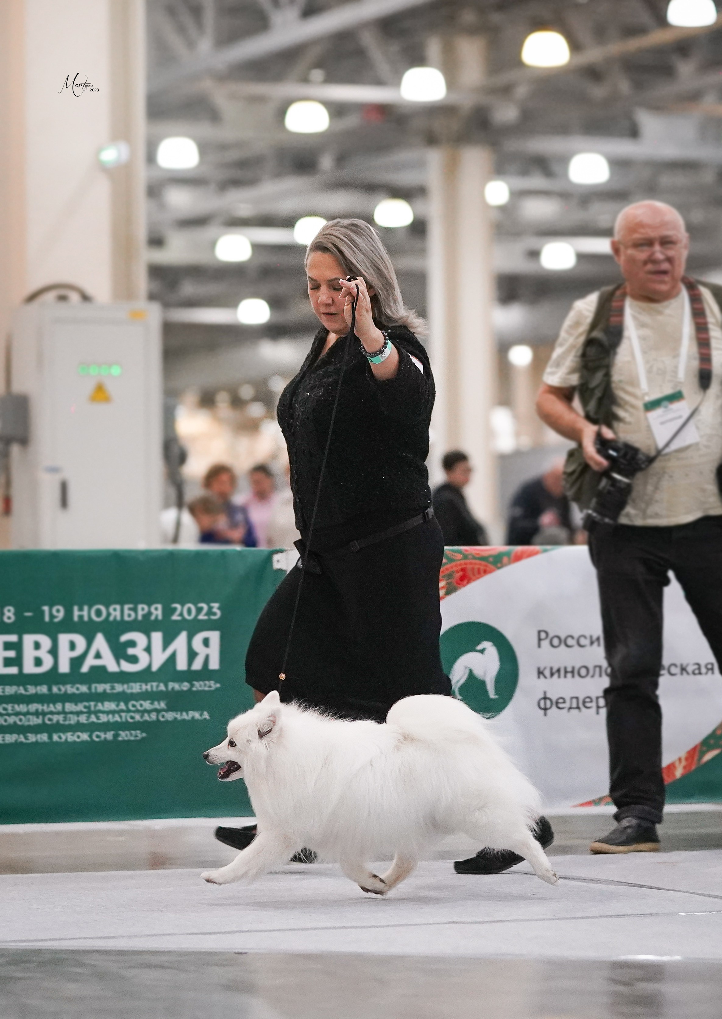 Выставки 2023. Фотограф-анималист в Санкт-Петербурге Яна Мартынова