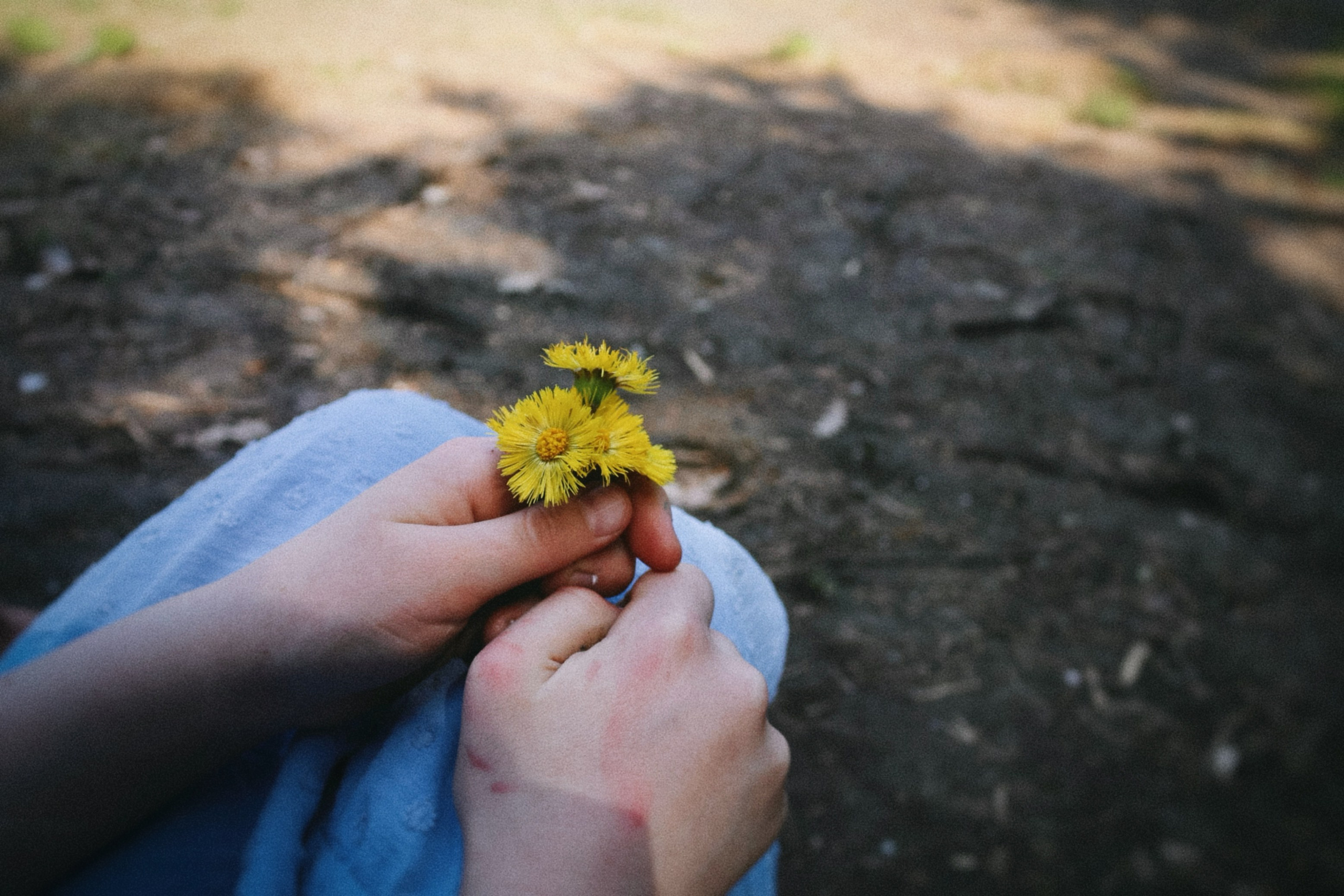 Фотоальбом: День музыка и танца. VITA · visual therapy arts