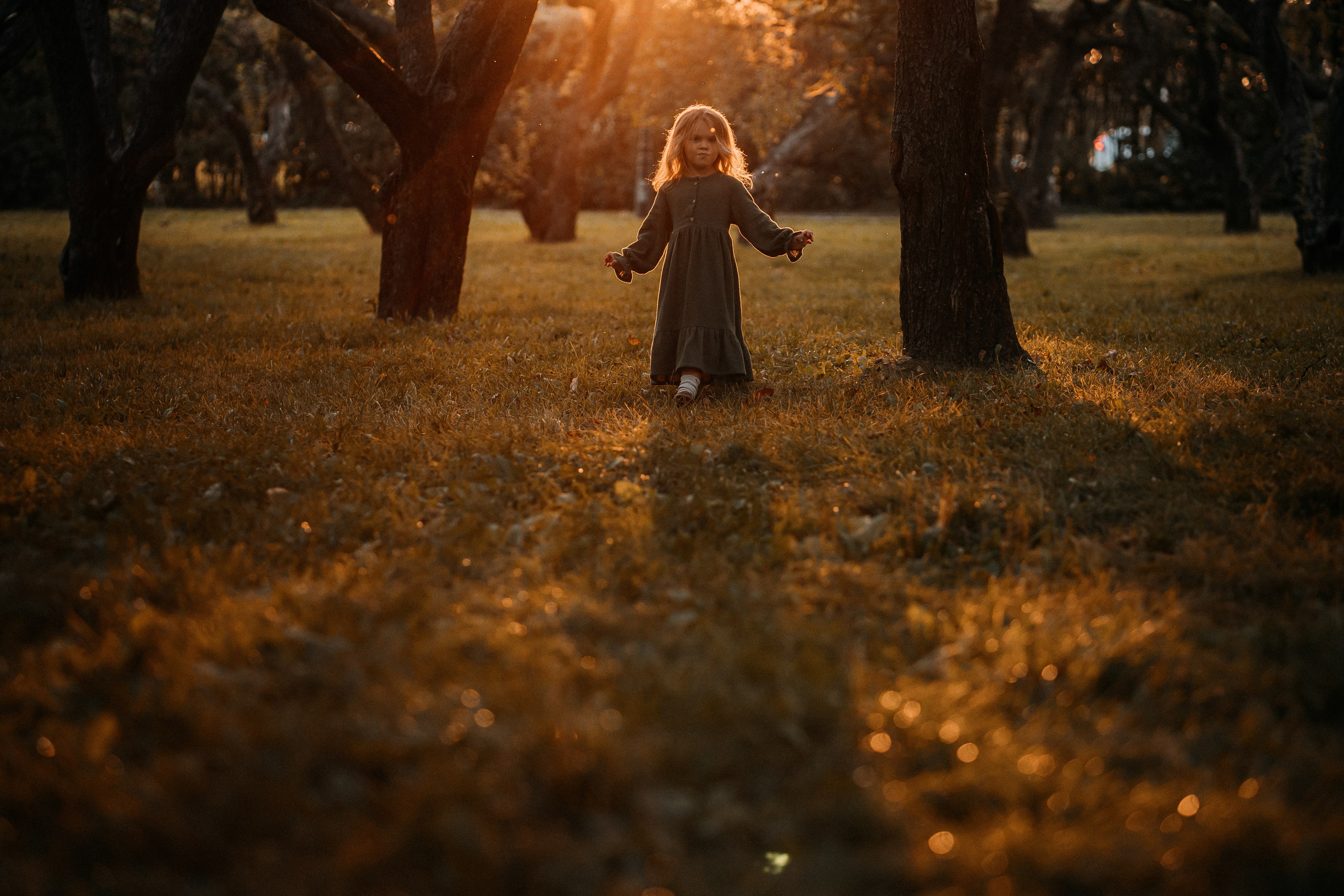 Яблочная радость. Главная